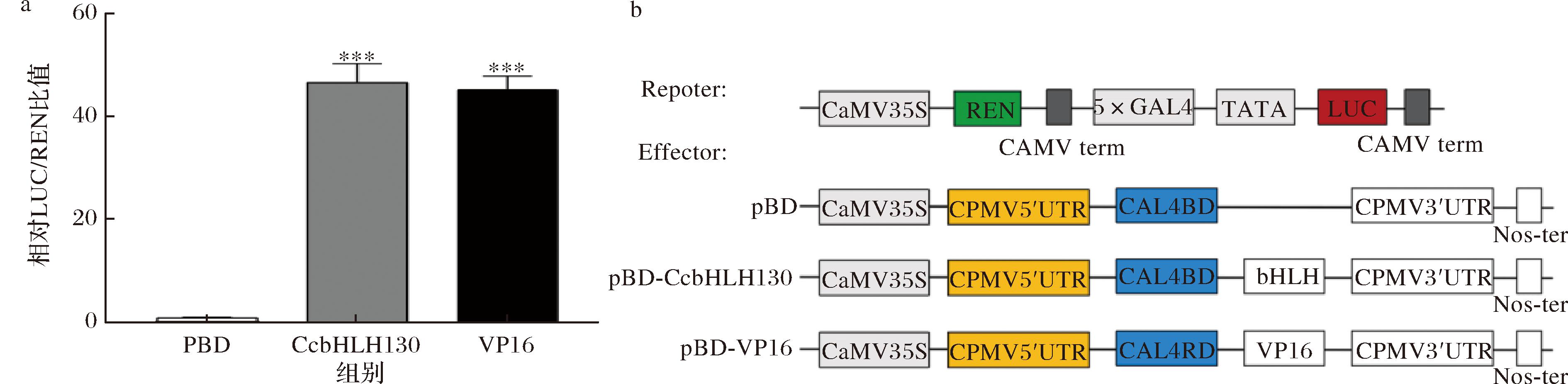 width=693,height=169,dpi=110