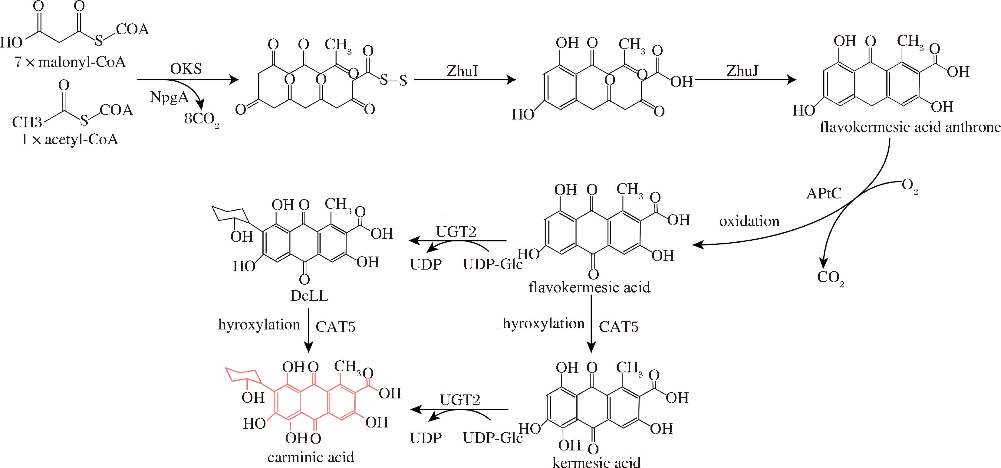 width=606,height=283,dpi=110