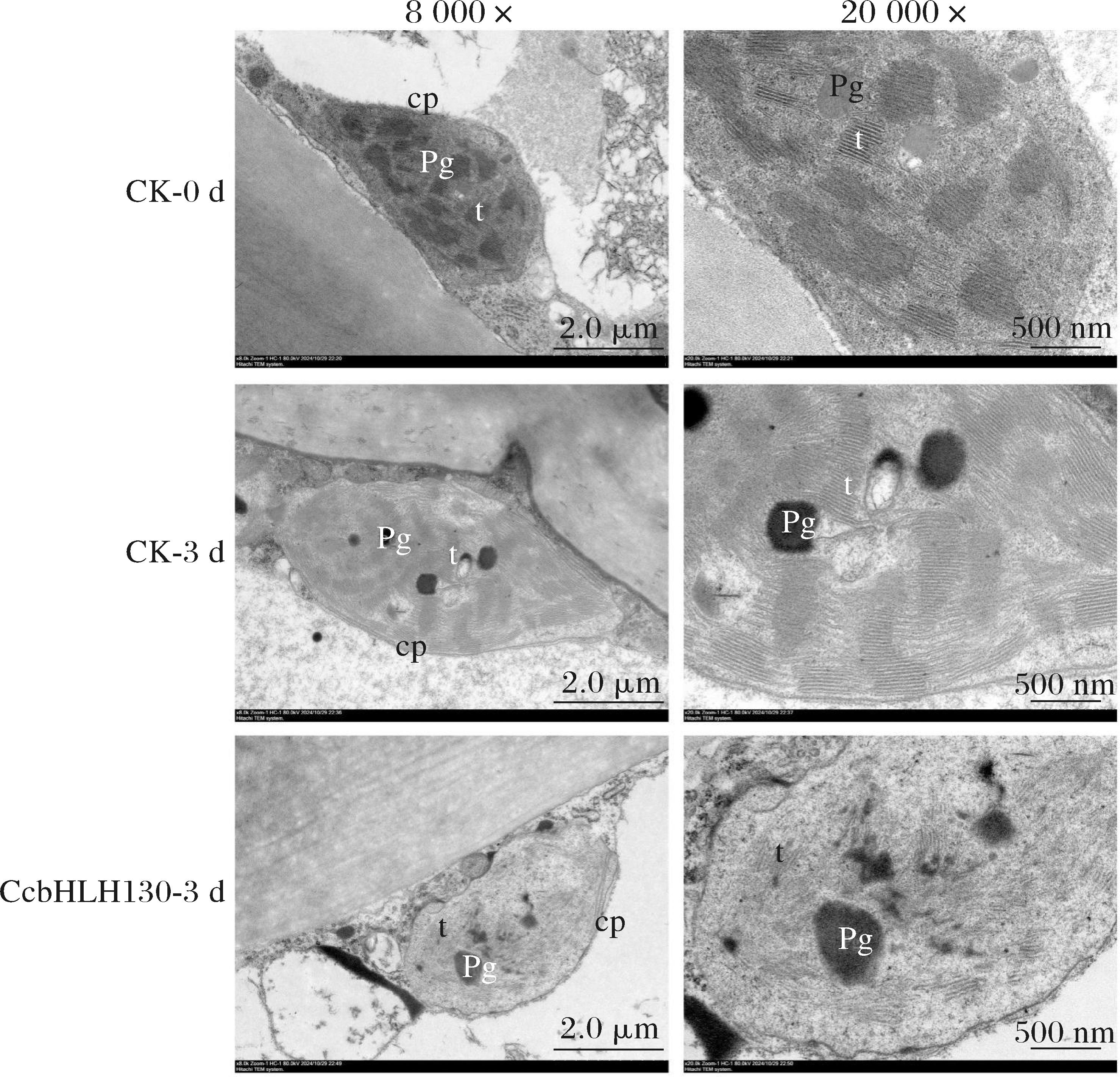 width=346,height=333,dpi=110