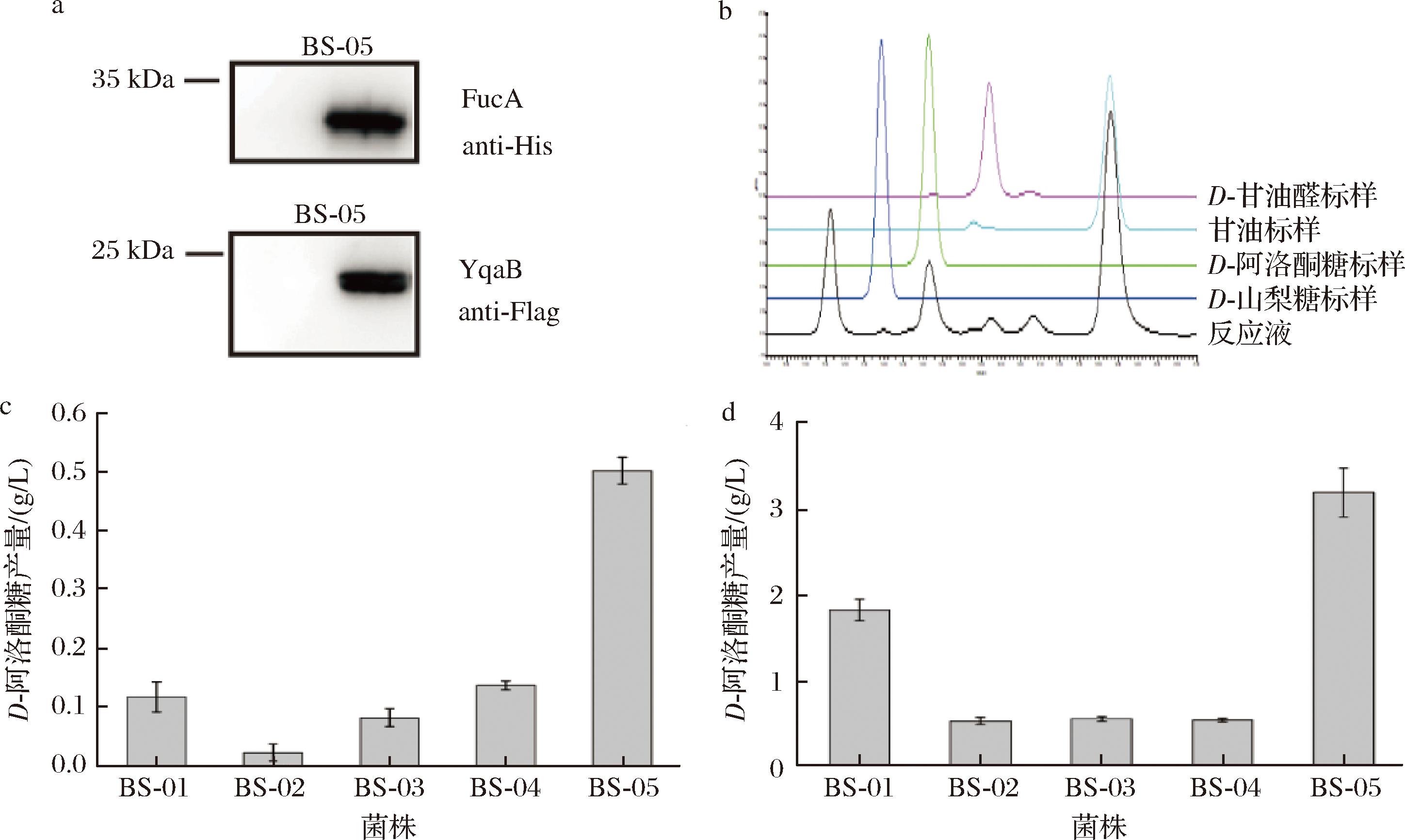 width=531,height=317,dpi=110