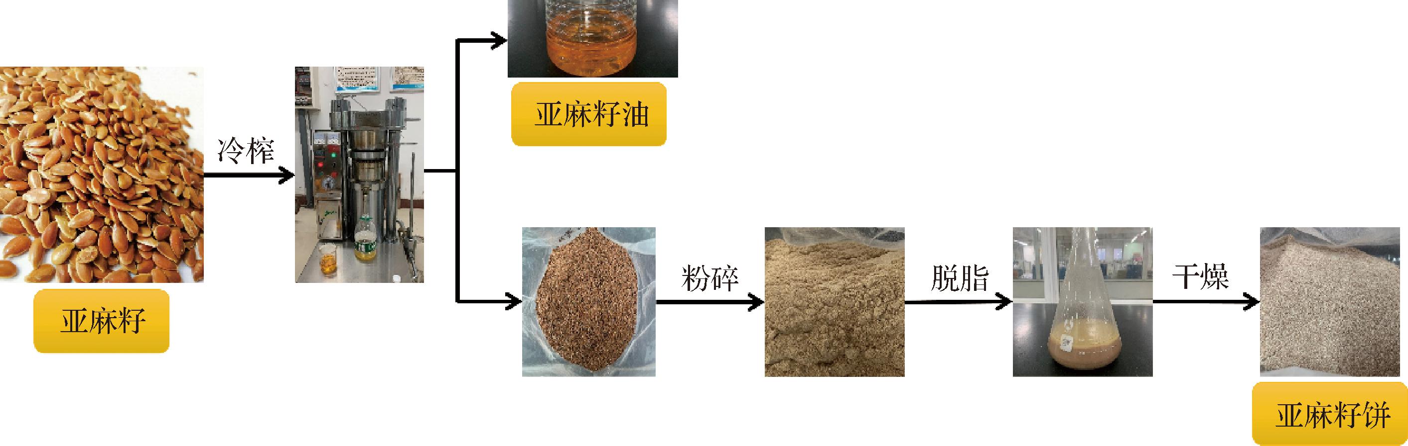 width=518,height=164,dpi=110