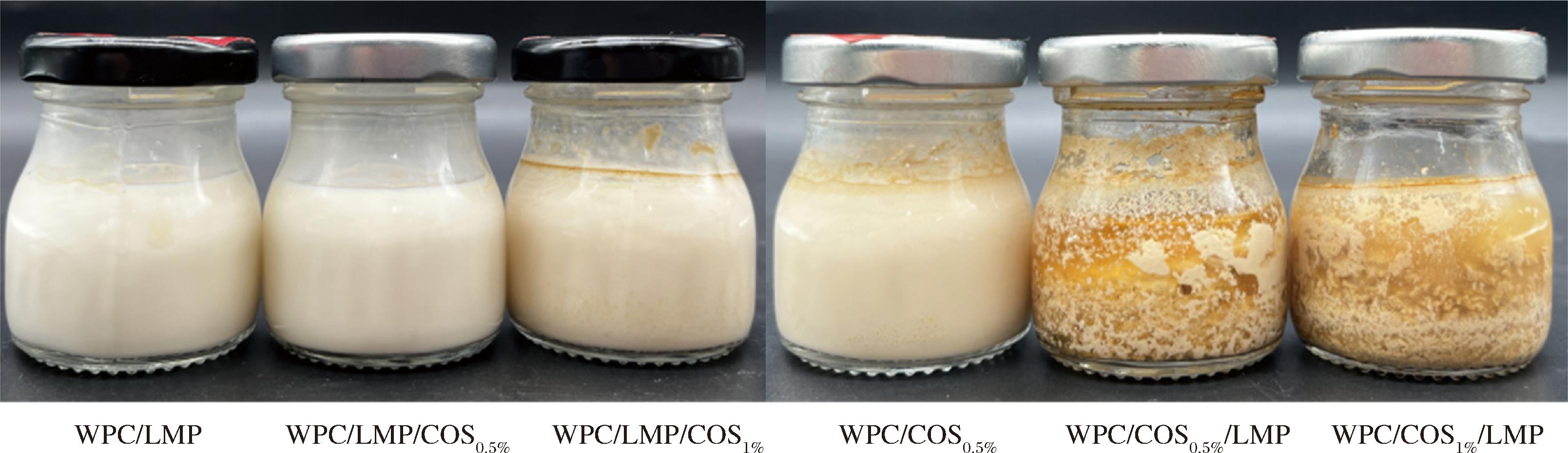 width=589,height=170,dpi=110