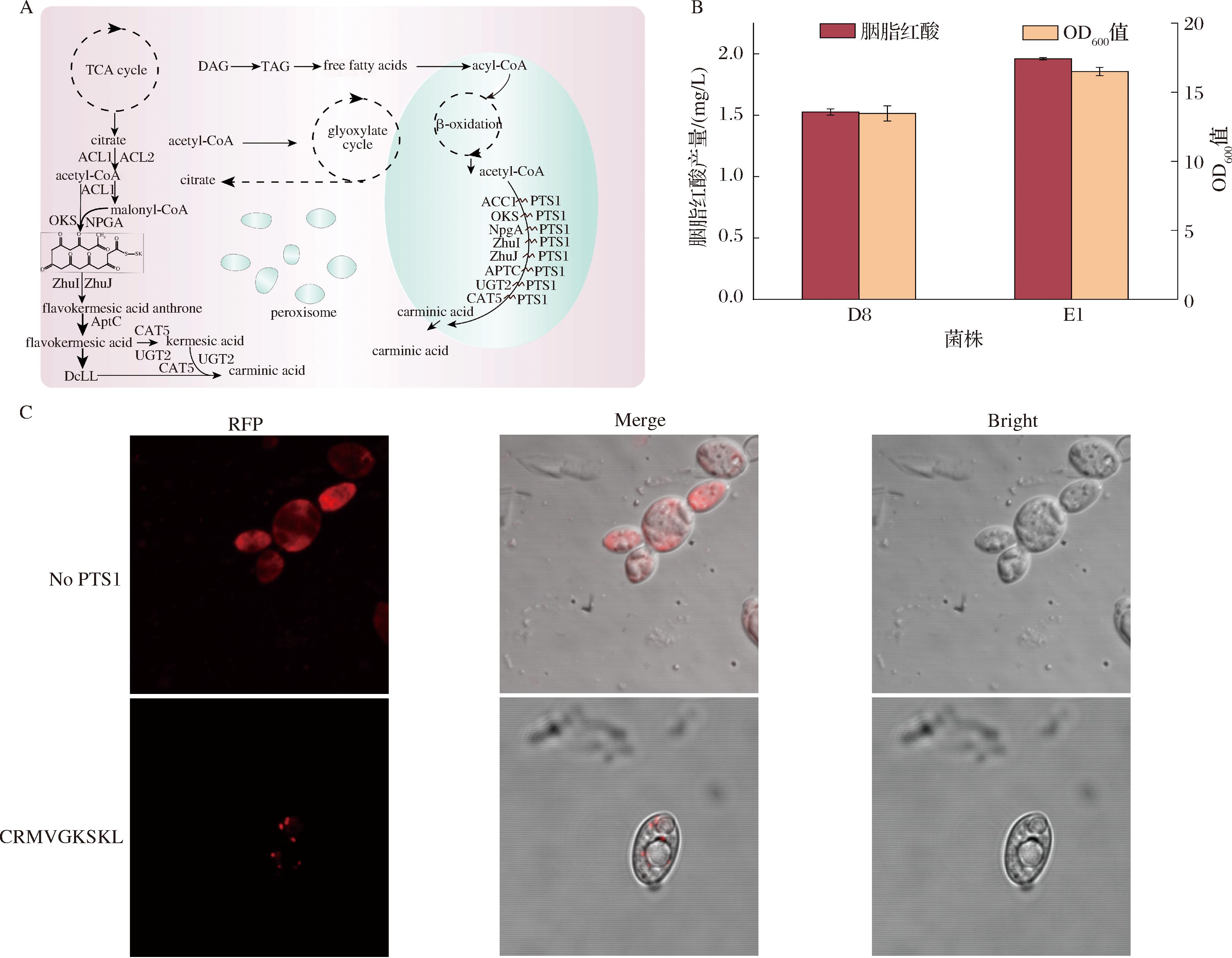 width=664,height=516,dpi=110