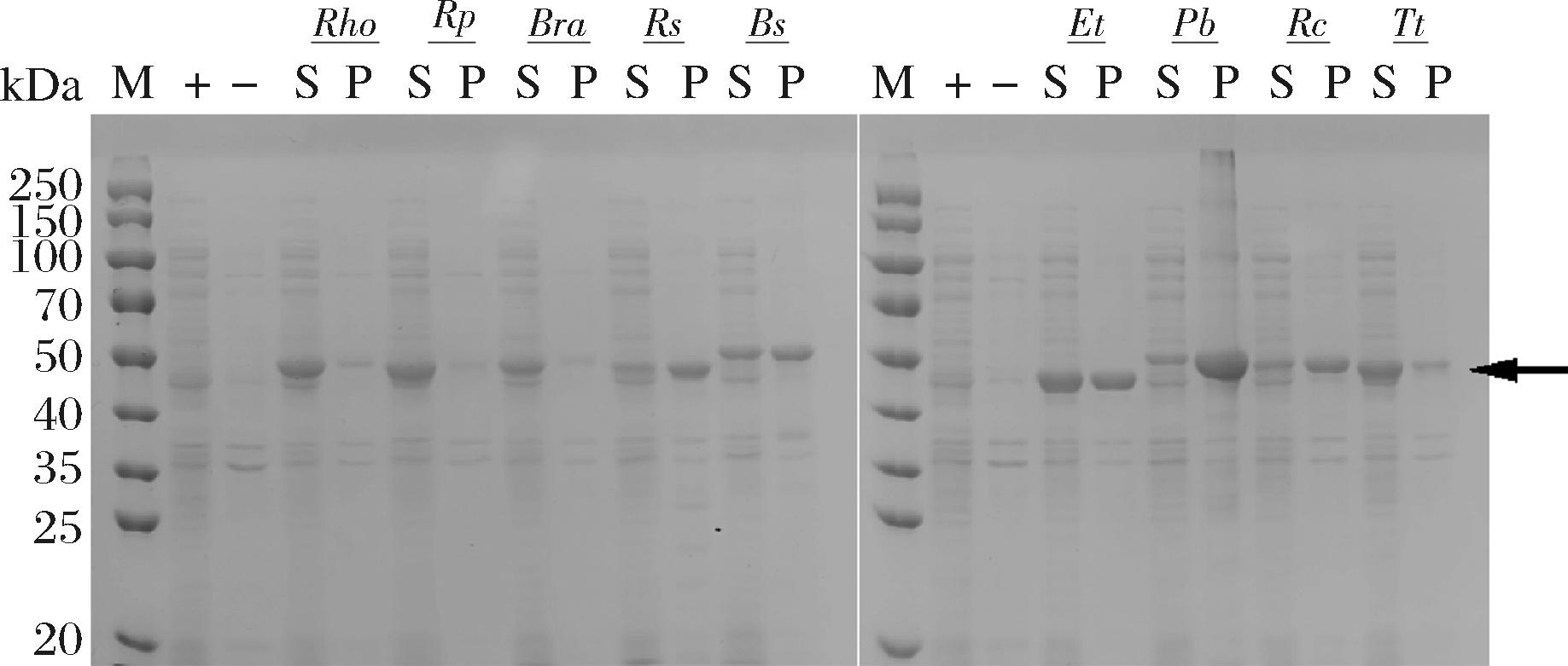 width=336,height=143,dpi=110