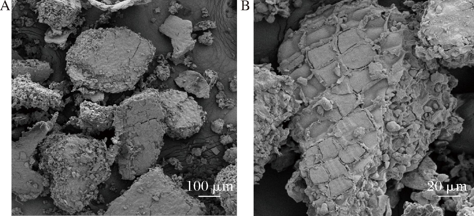 width=340,height=154,dpi=110