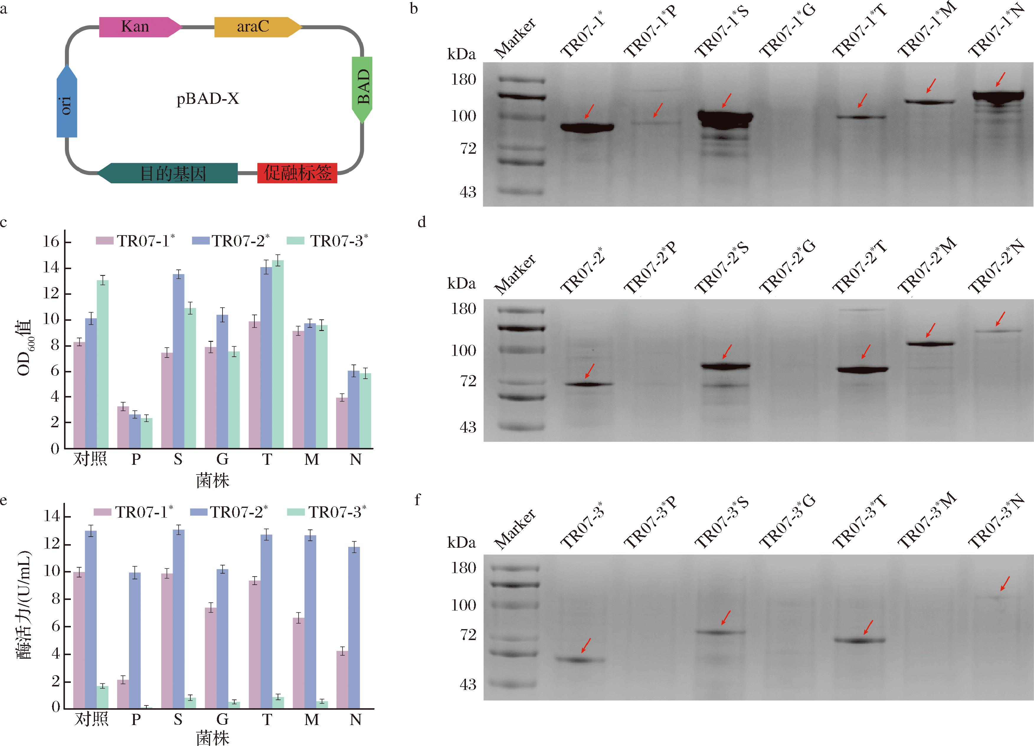 width=642,height=463,dpi=110