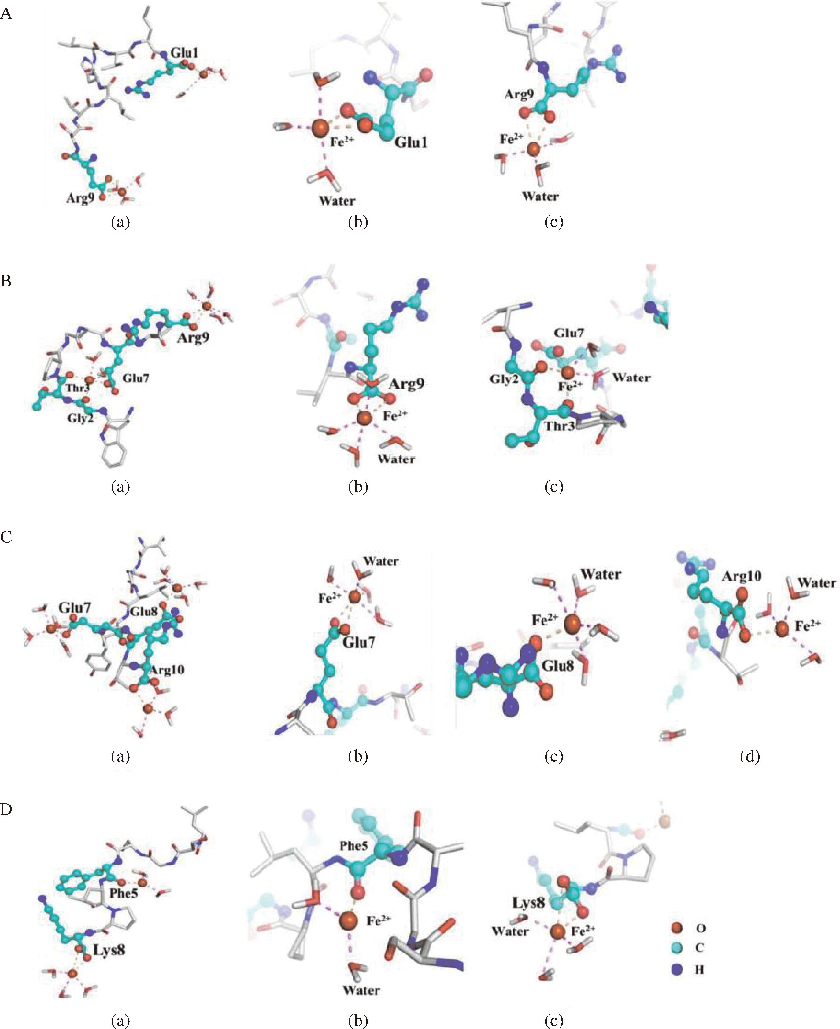 width=503,height=617,dpi=110