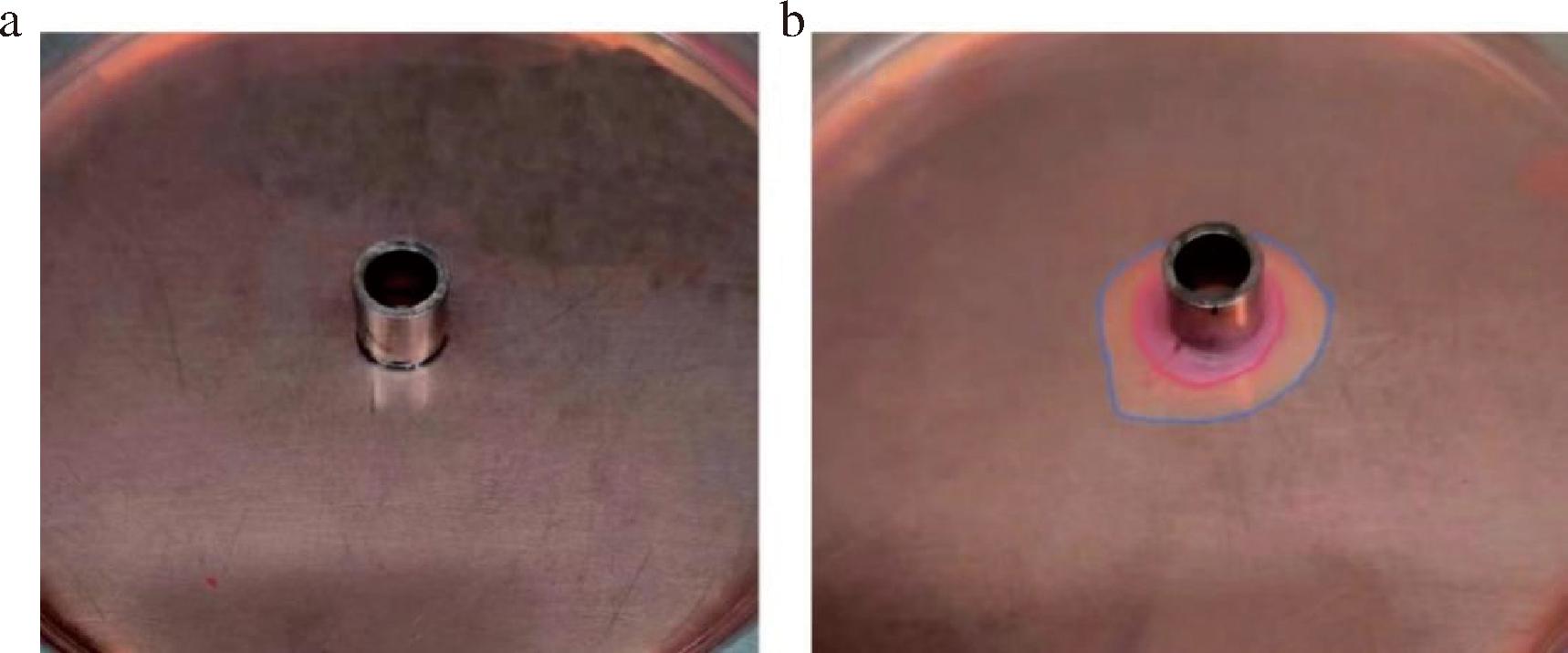 width=314,height=131,dpi=110