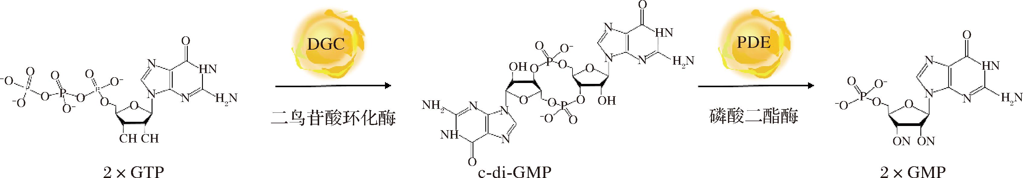 width=621,height=108,dpi=110