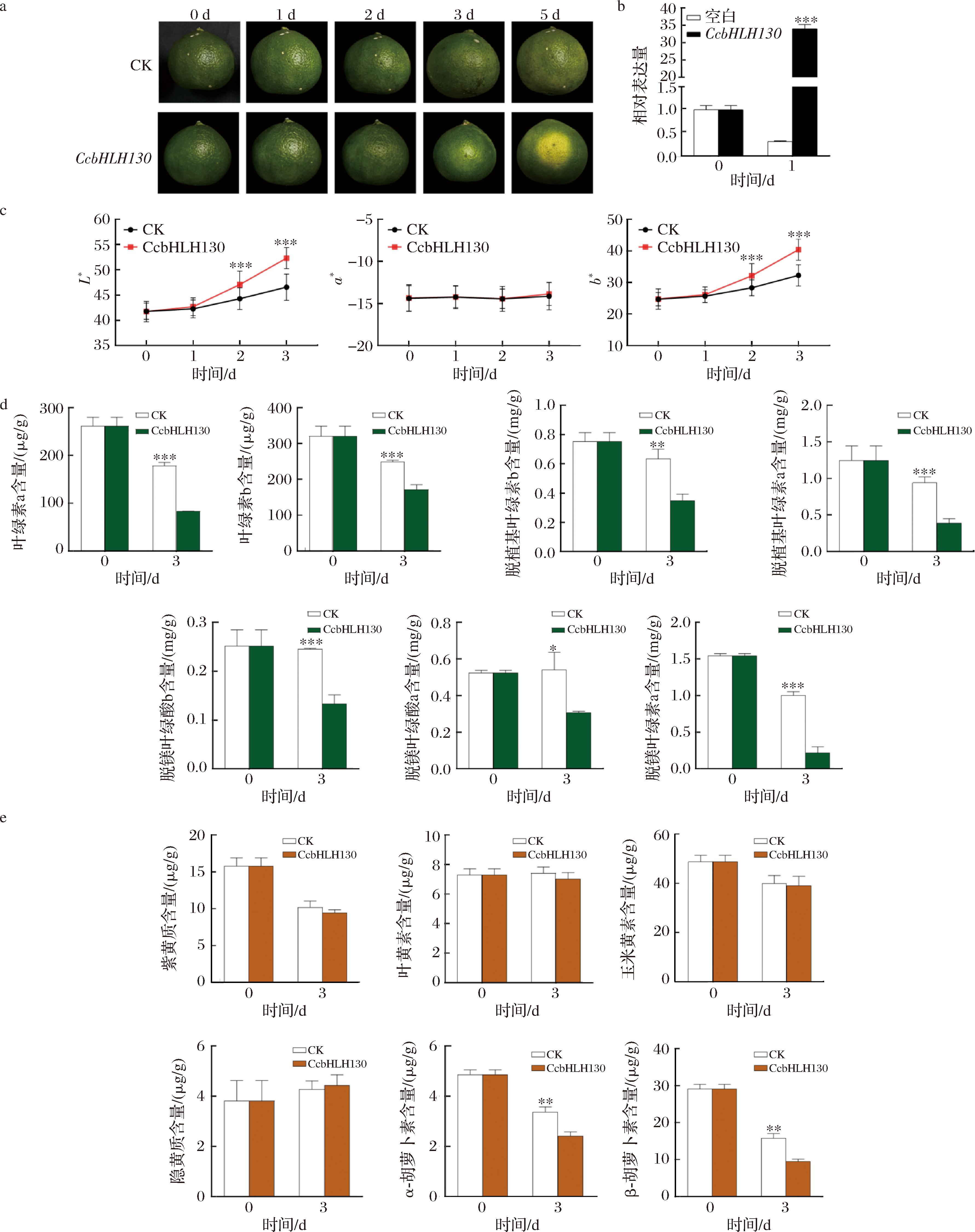 width=653,height=825,dpi=110