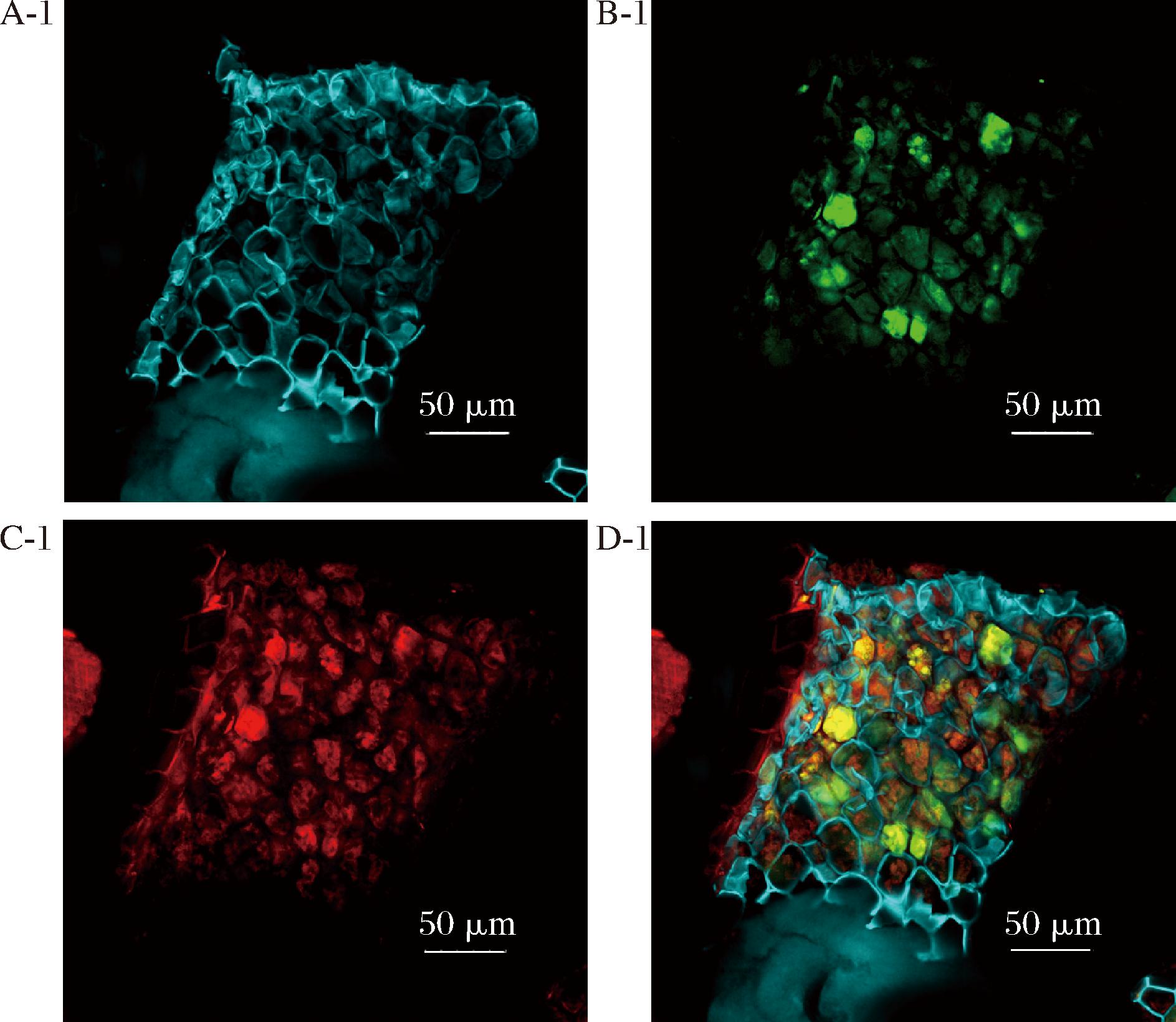 width=345,height=300,dpi=110