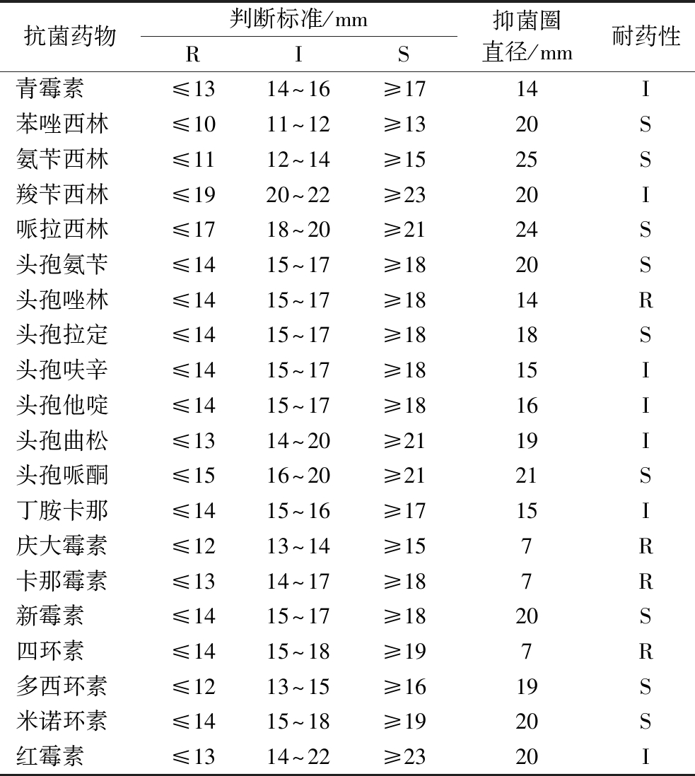 width=360,height=402,dpi=110