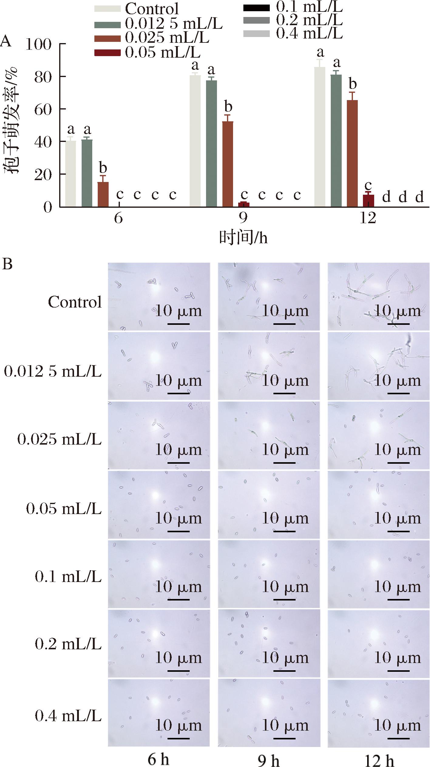 width=259,height=463,dpi=110