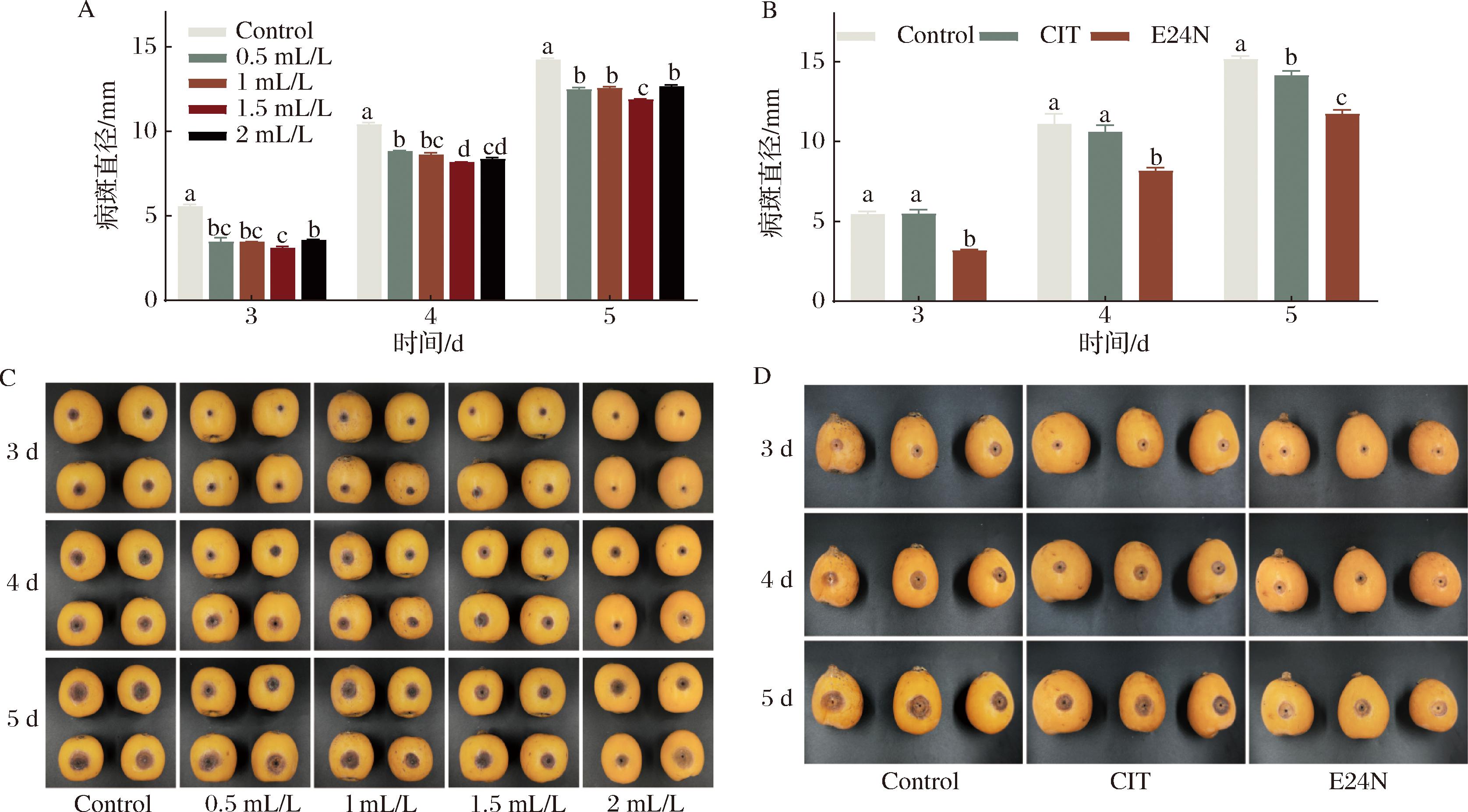 width=614,height=340,dpi=110