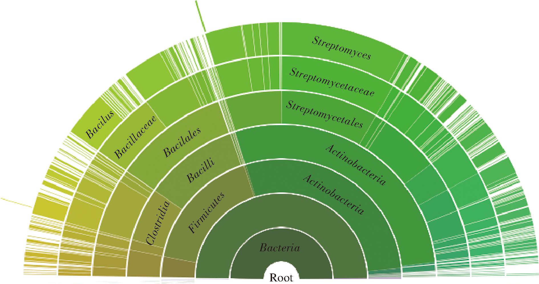 width=346,height=182,dpi=110