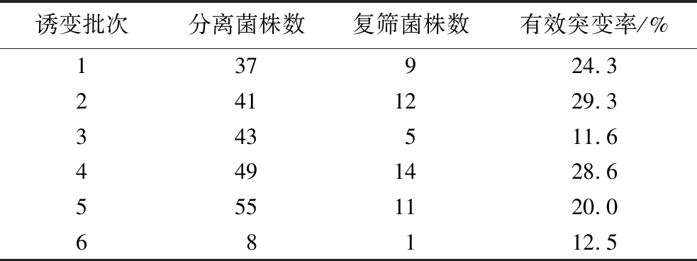 width=360,height=134,dpi=110
