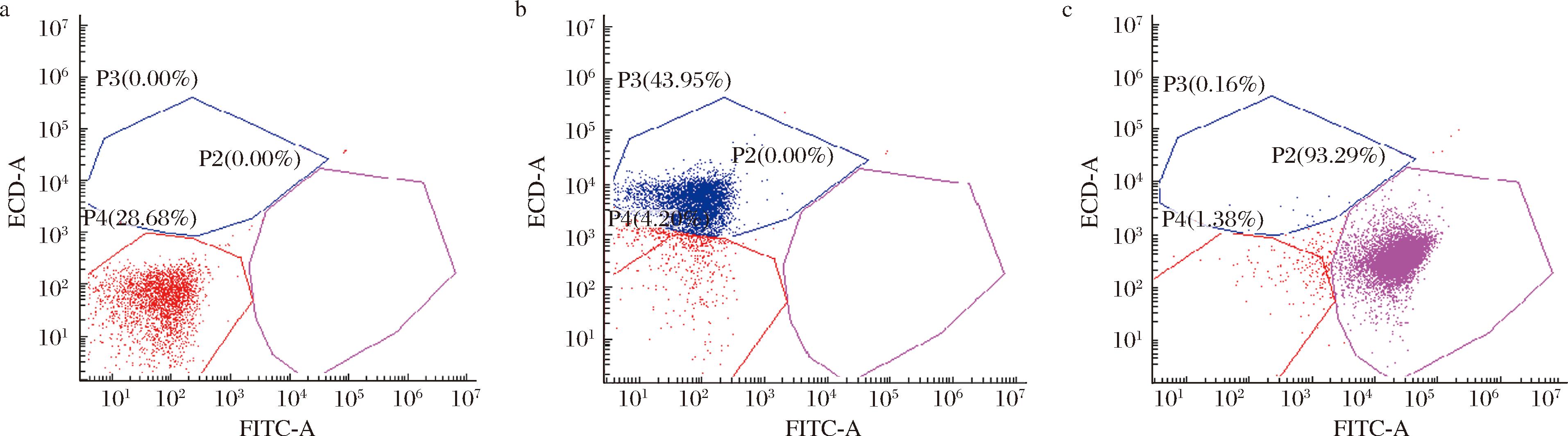 width=701,height=195,dpi=110