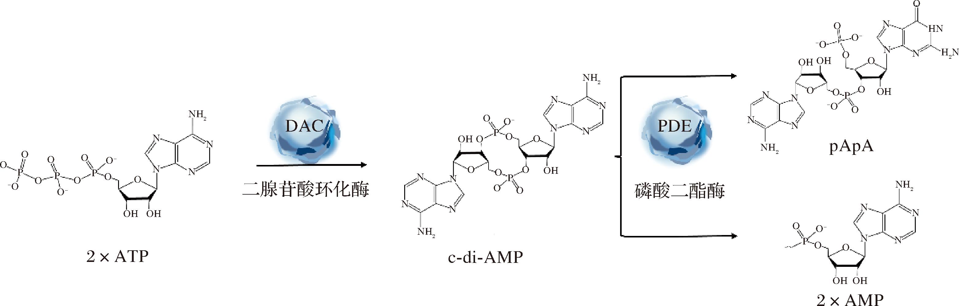 width=573,height=183,dpi=110