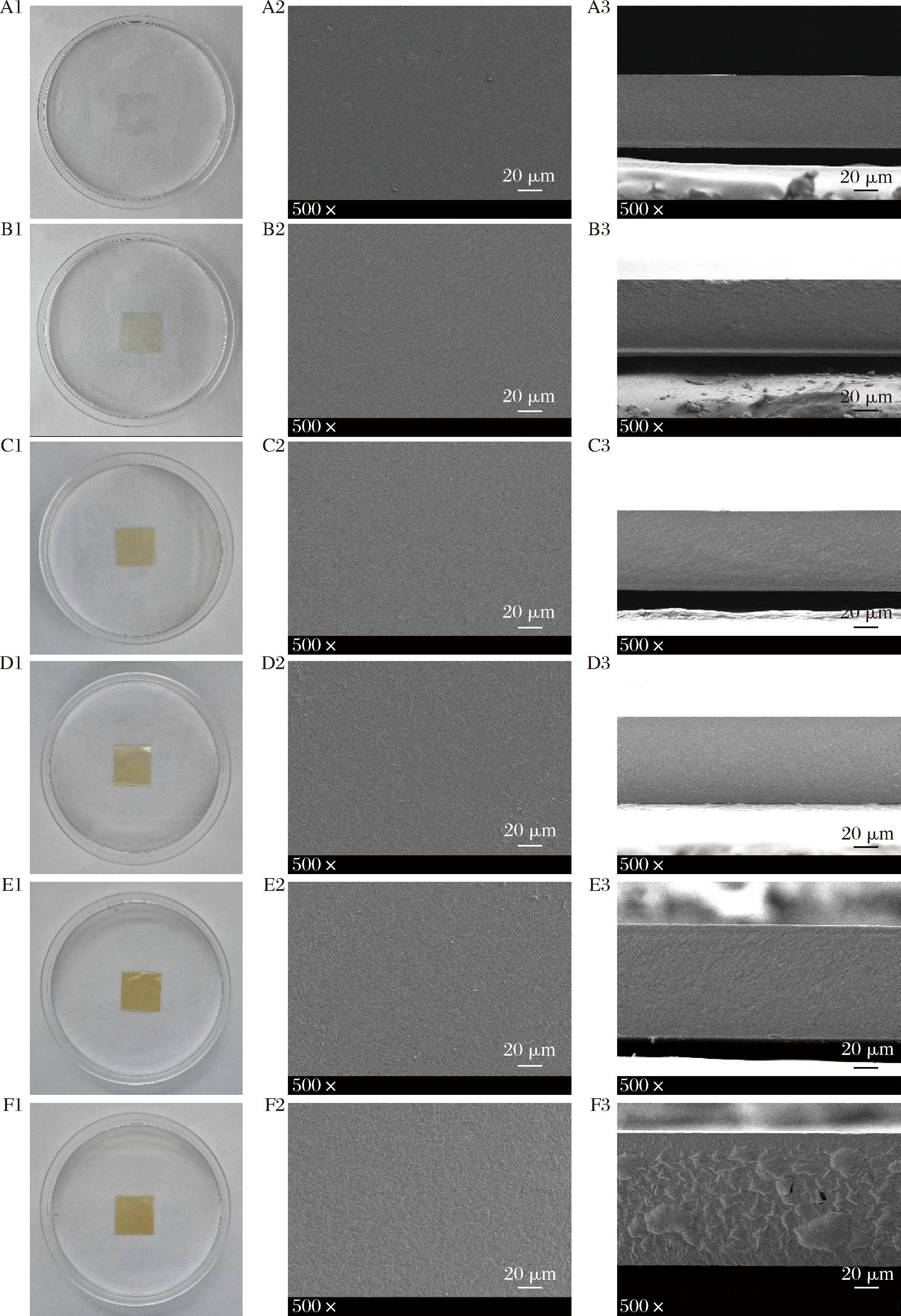 width=492,height=719,dpi=110