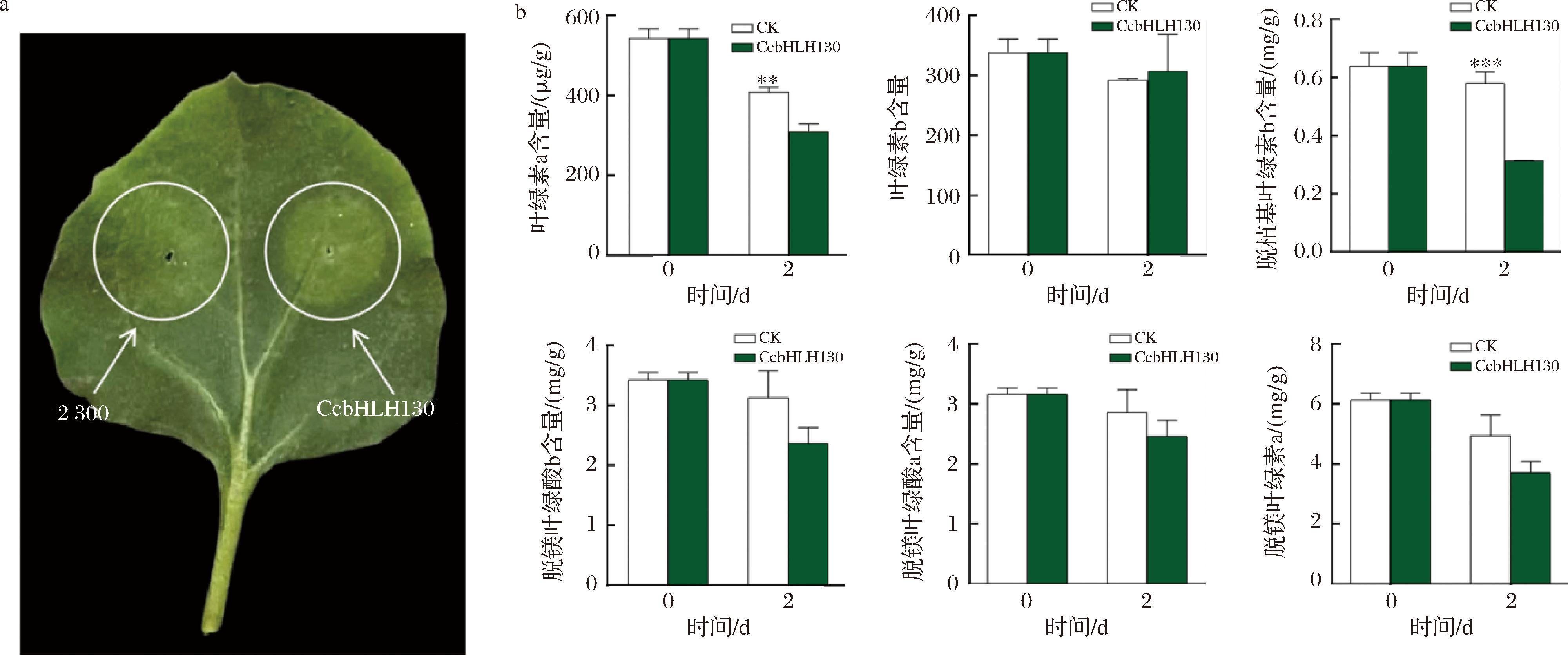 width=733,height=306,dpi=110