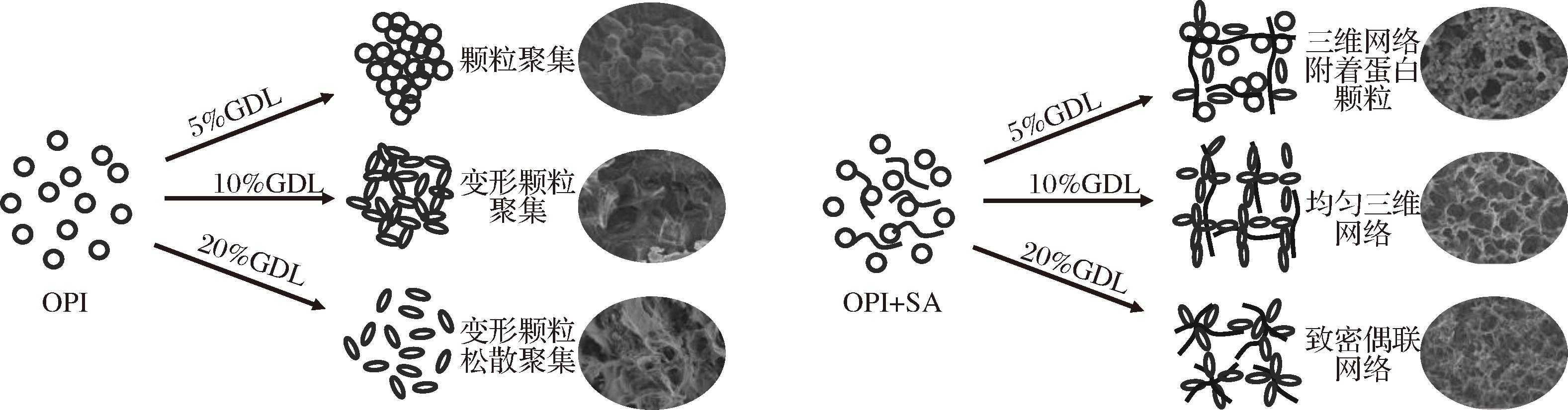 width=578,height=151,dpi=110