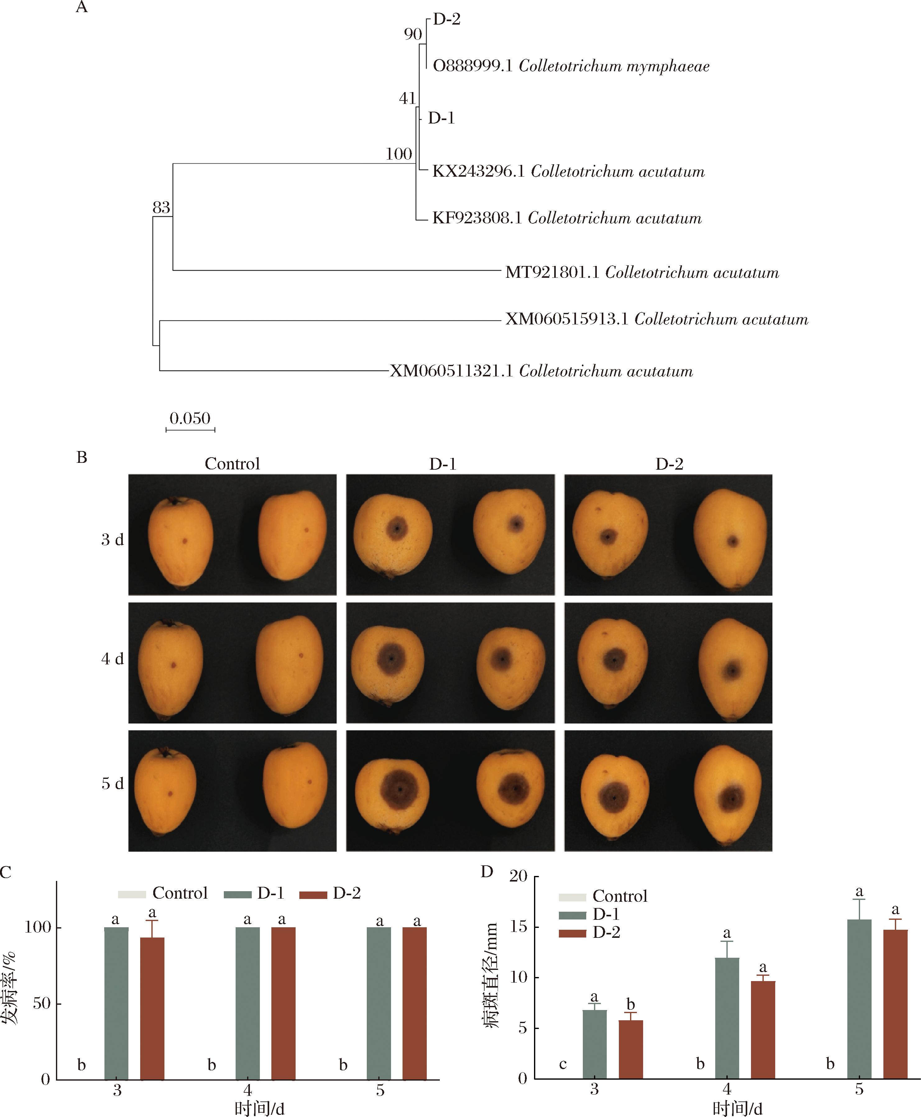 width=543,height=658,dpi=110