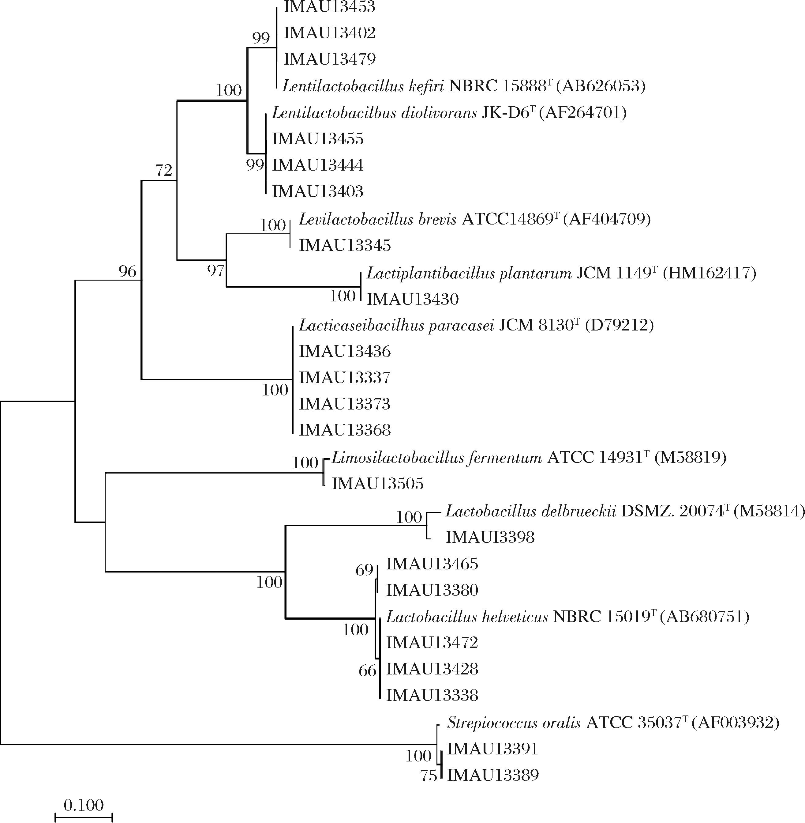 width=482,height=492,dpi=110