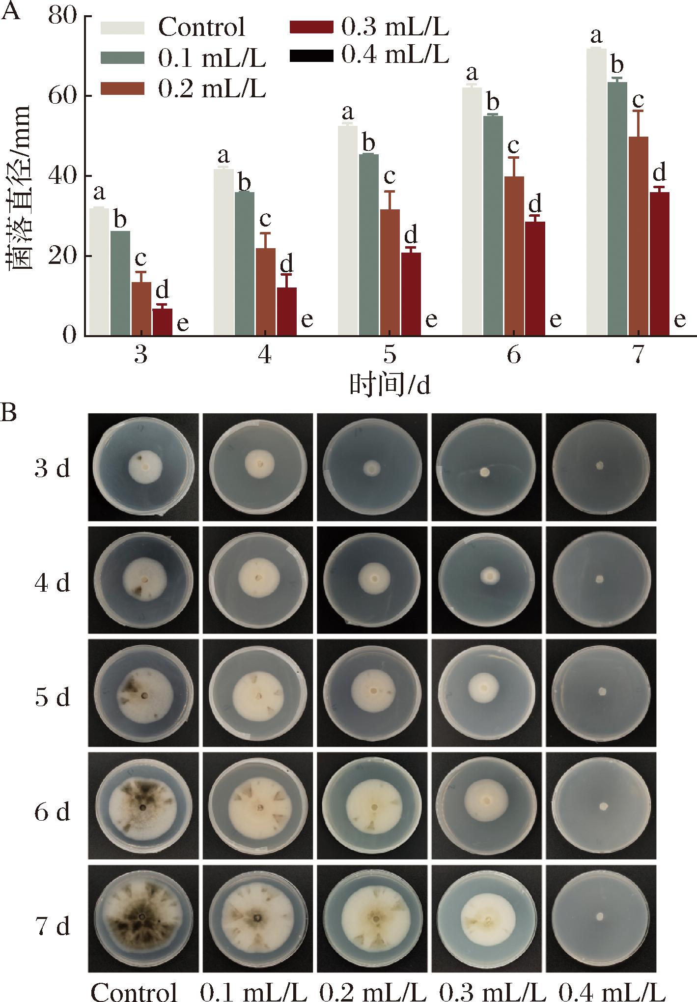 width=260,height=373,dpi=110