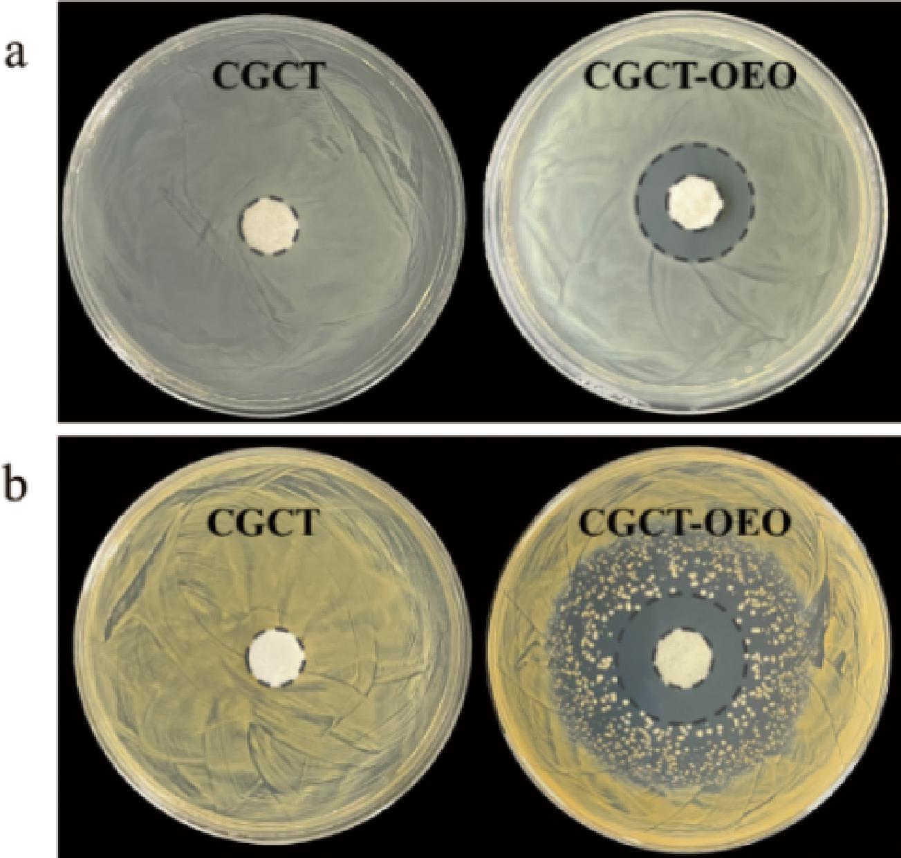 width=238,height=227,dpi=110