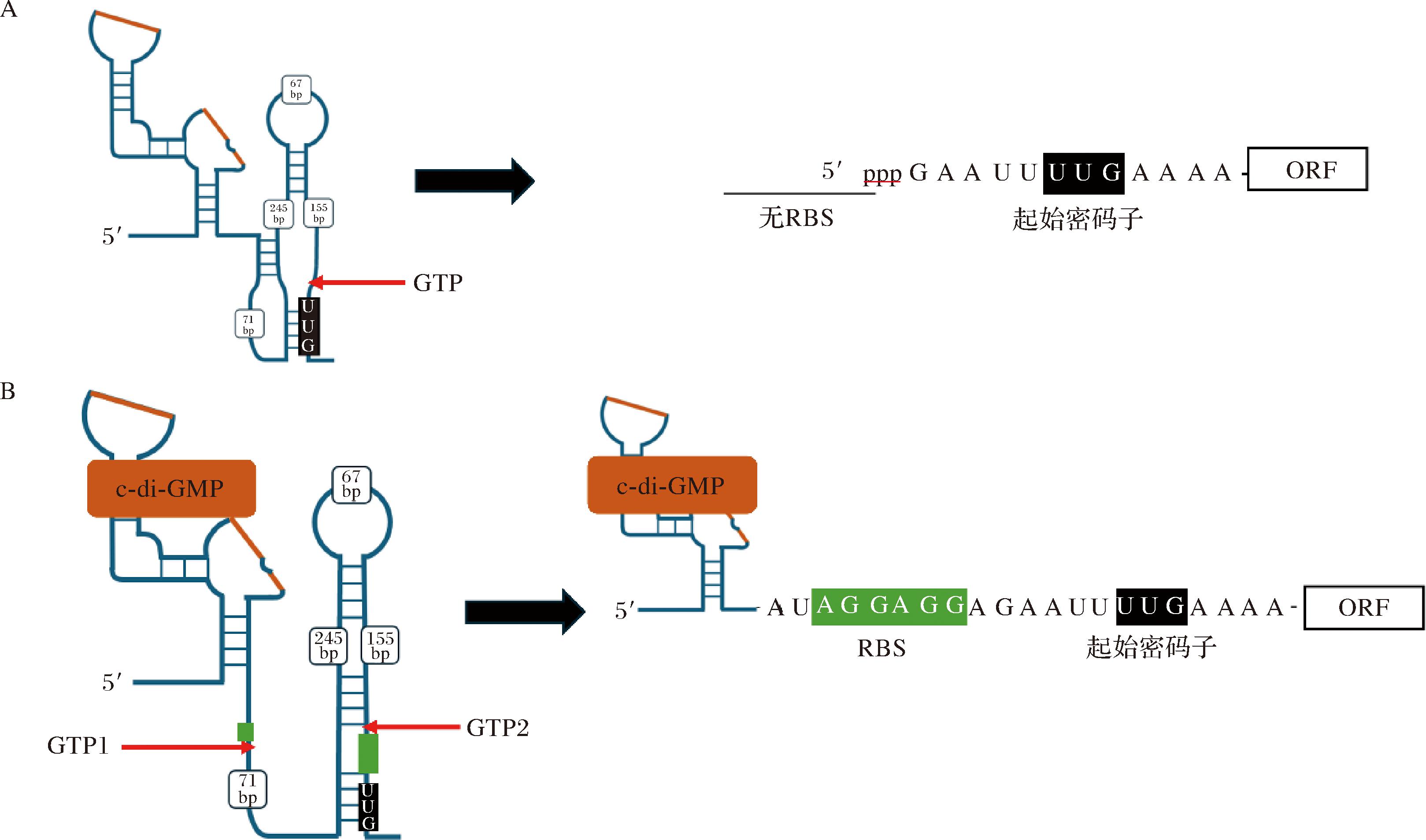 width=593,height=349,dpi=110