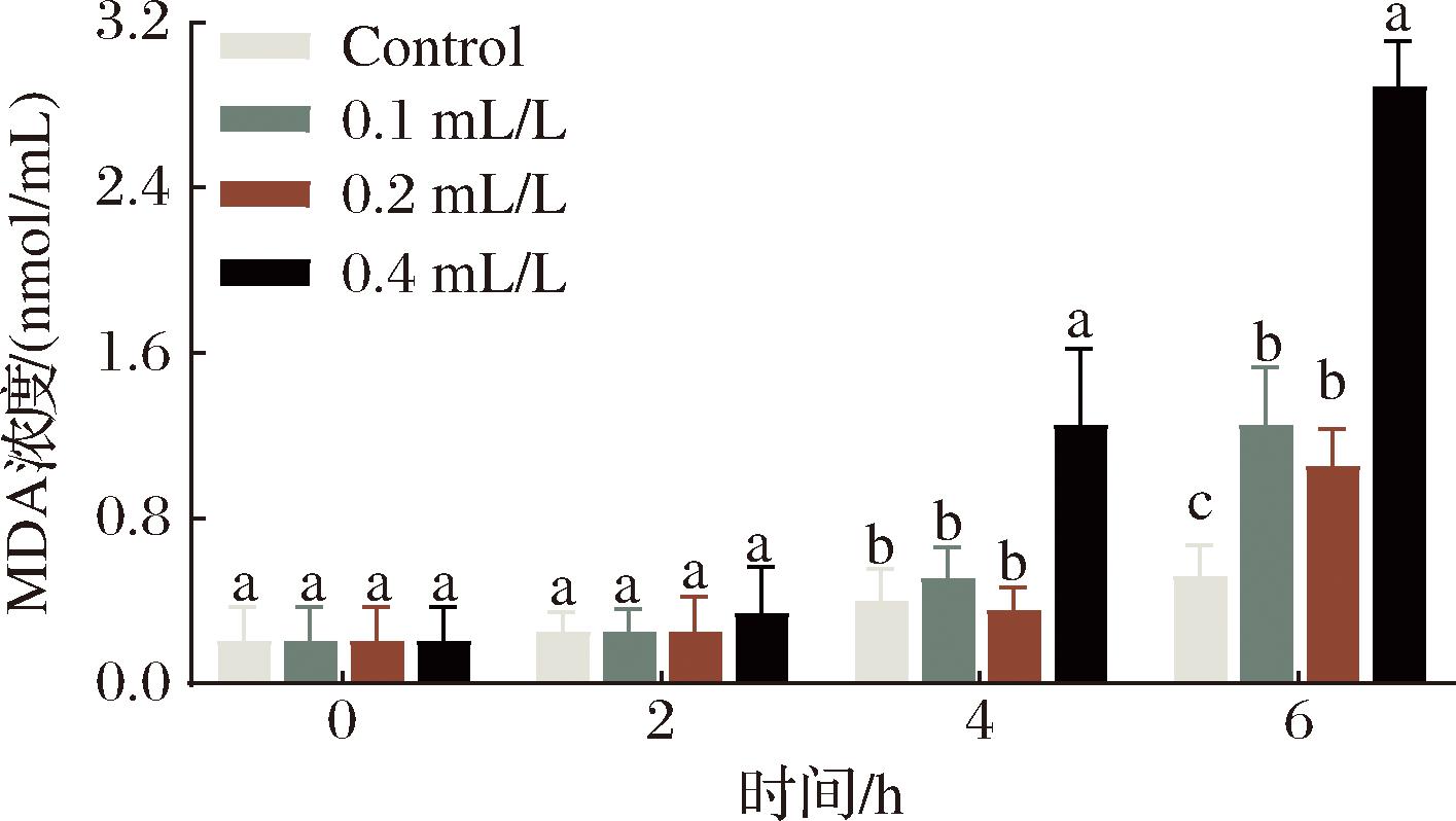 width=259,height=146,dpi=110