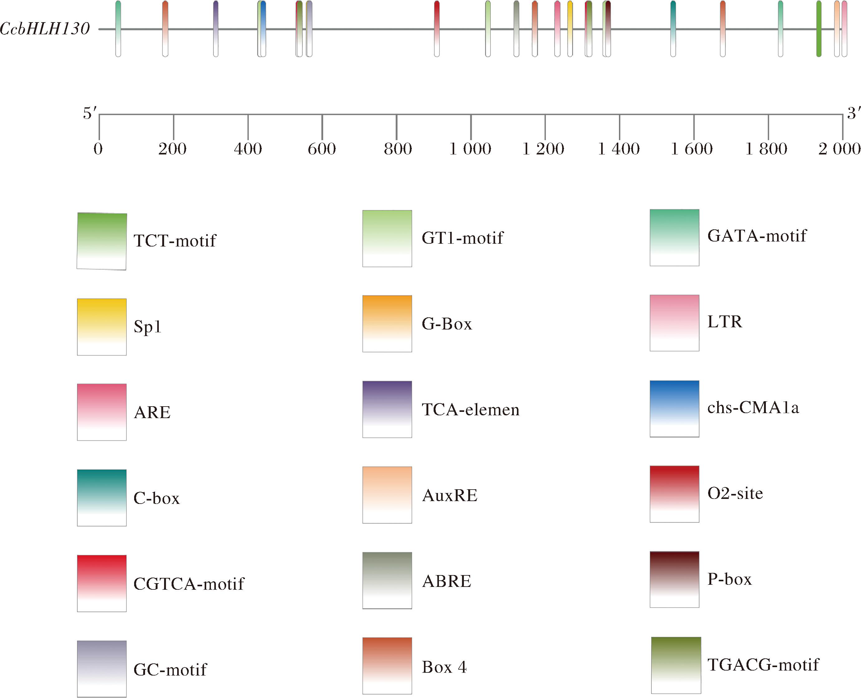 width=506,height=410,dpi=110