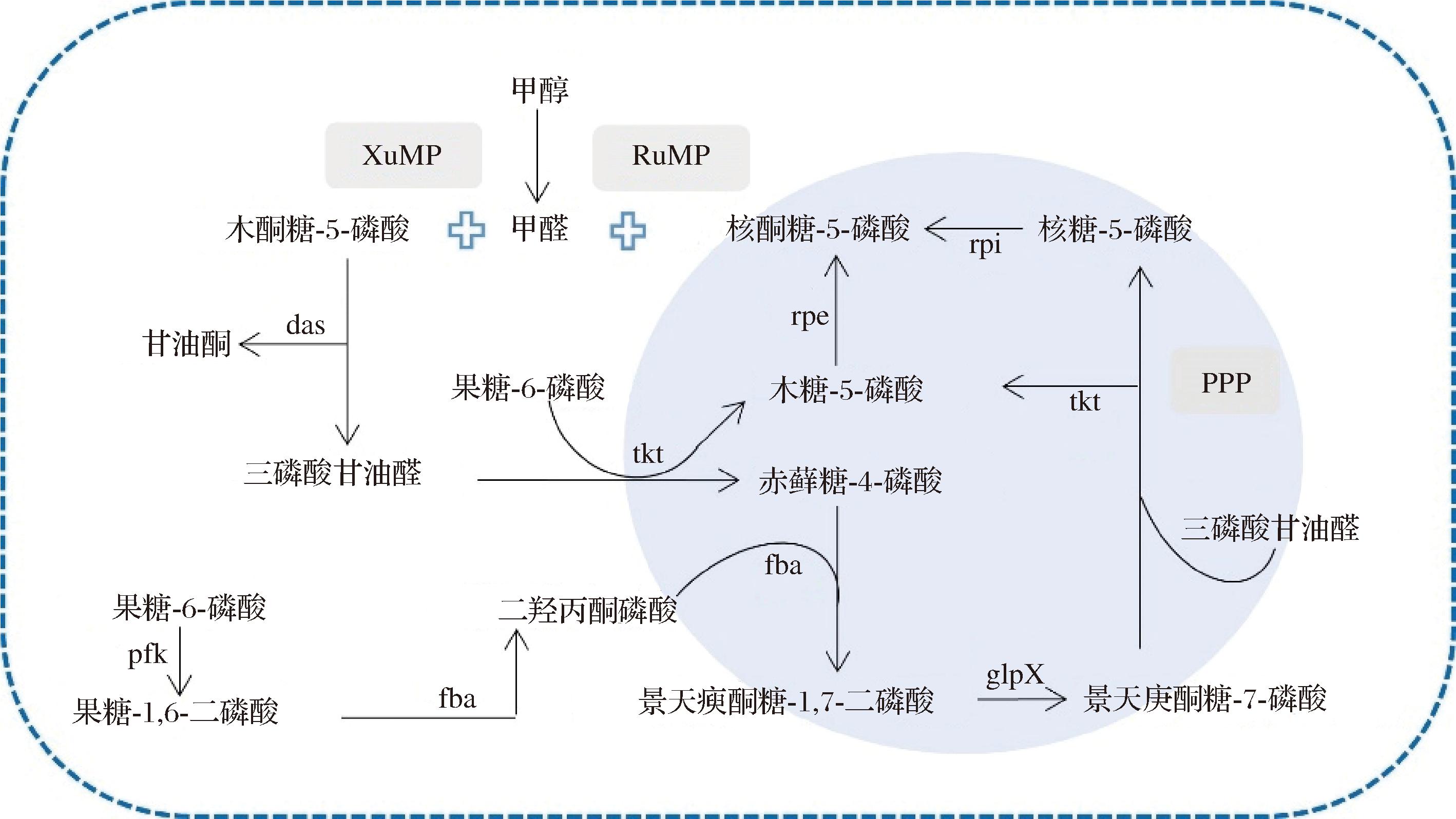 width=519,height=292,dpi=110