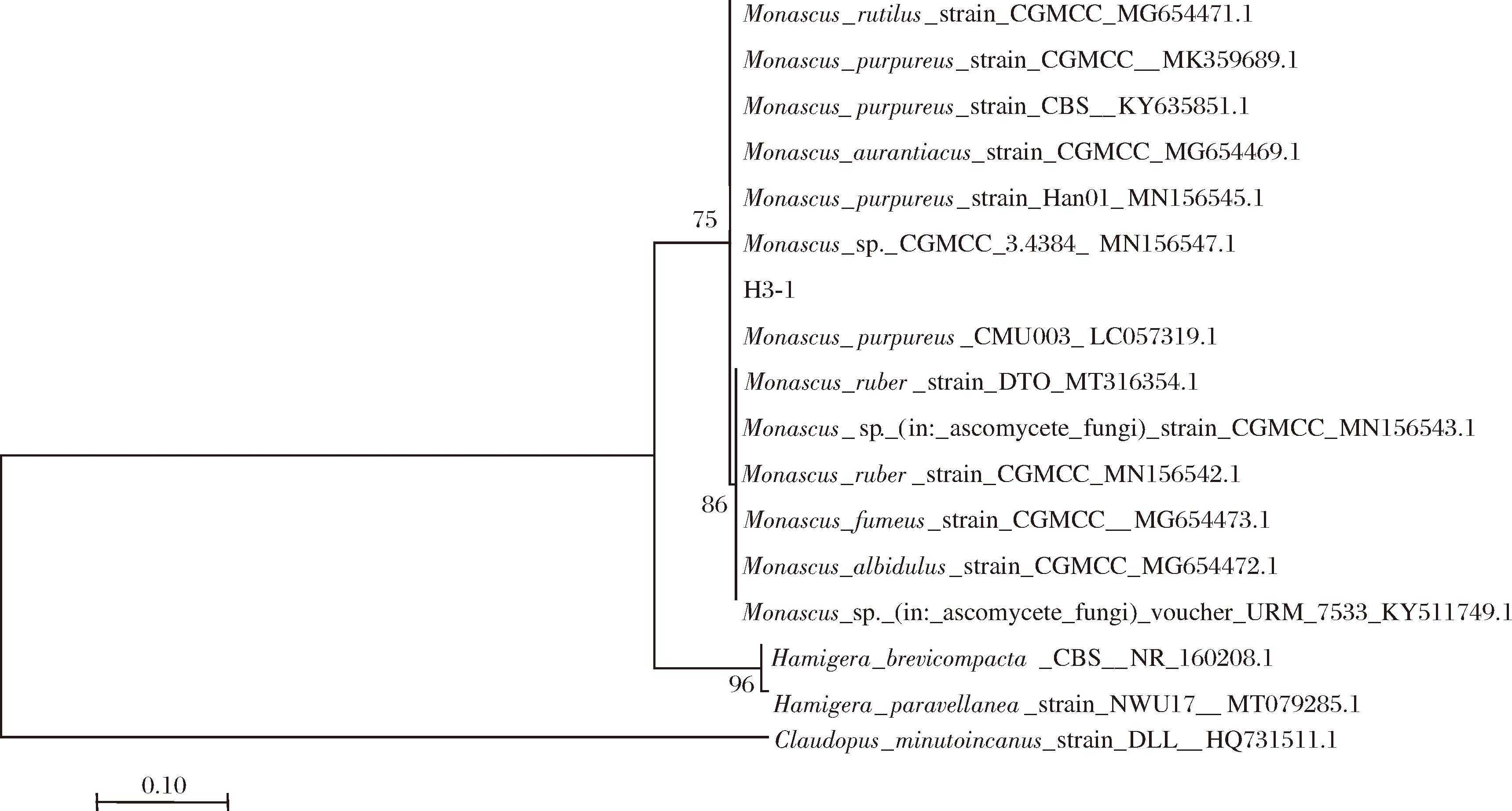 width=630,height=338,dpi=110