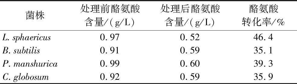 width=360,height=102,dpi=110