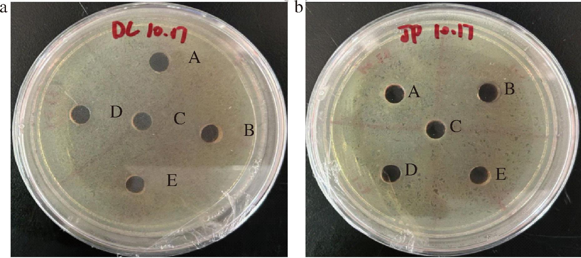 width=340,height=151,dpi=110