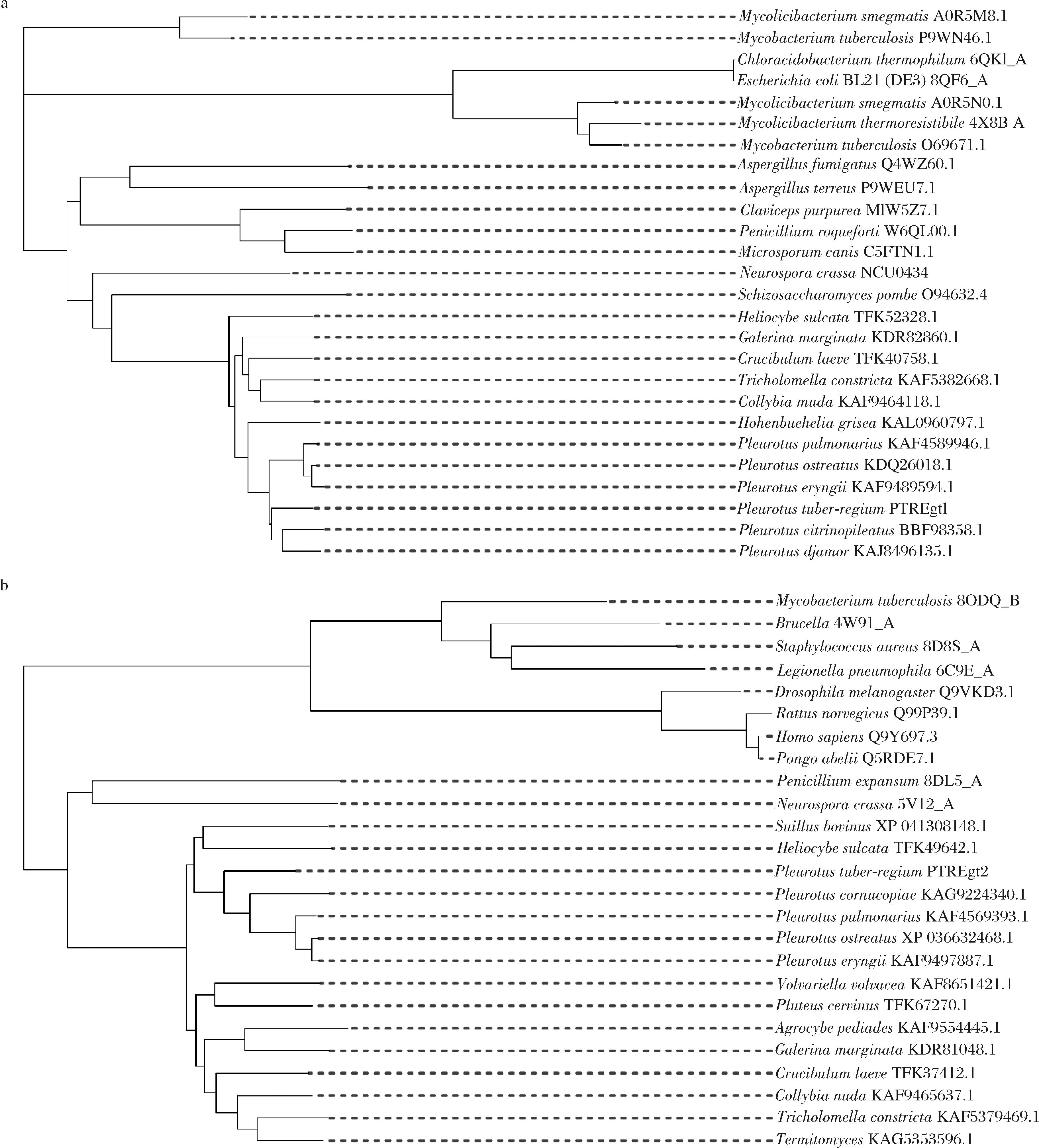 width=668,height=738,dpi=110