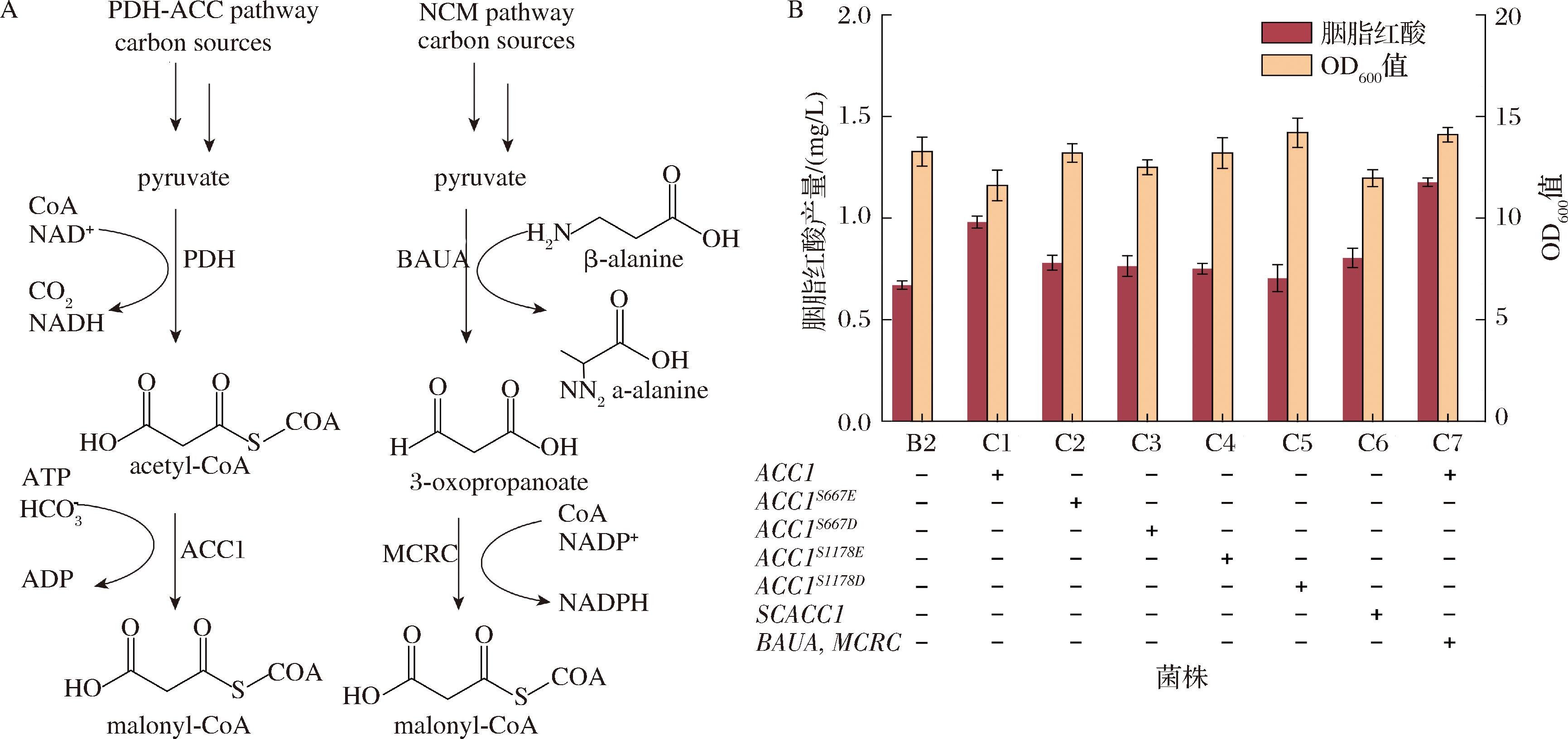 width=634,height=299,dpi=110