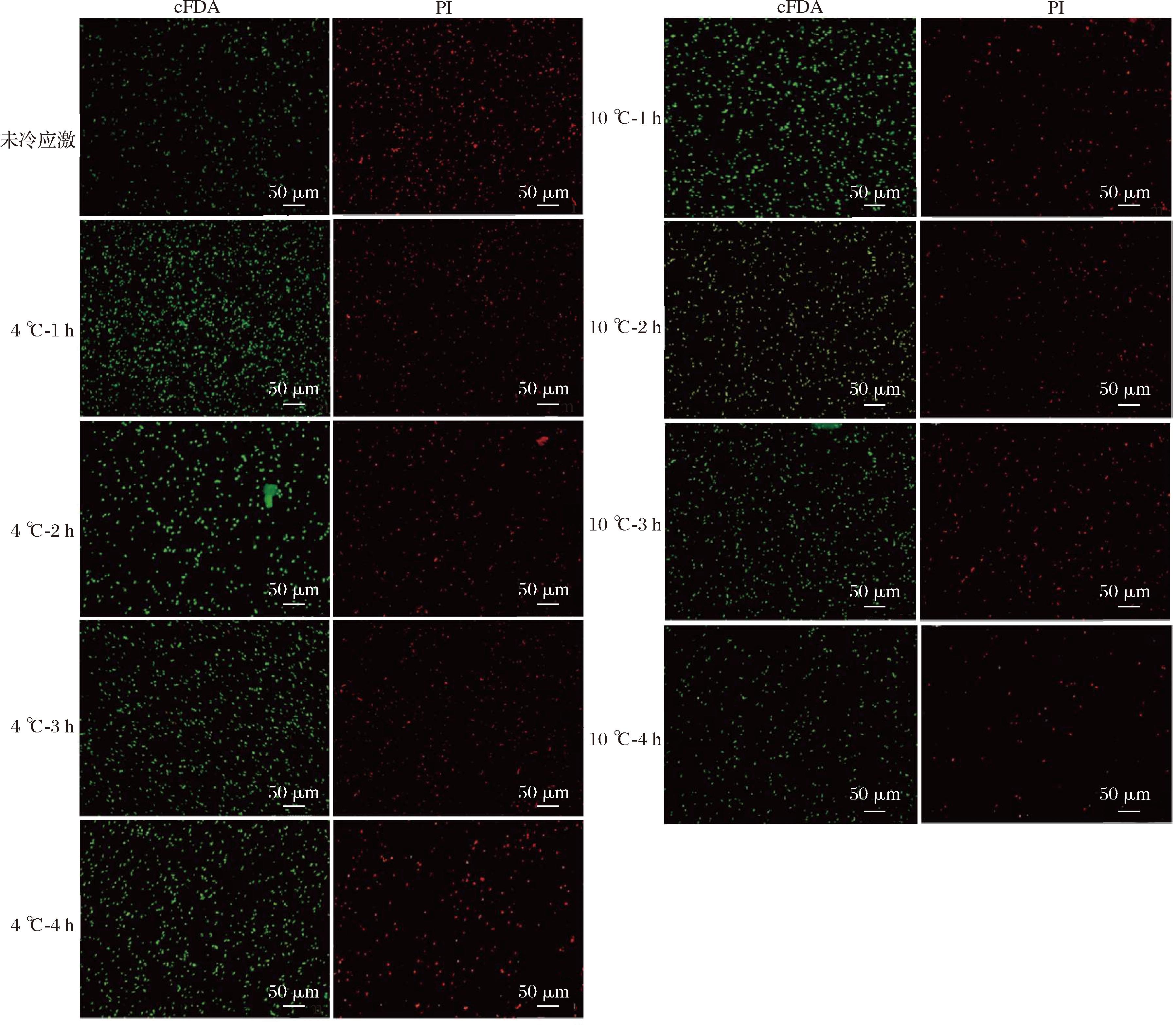 width=658,height=574,dpi=110