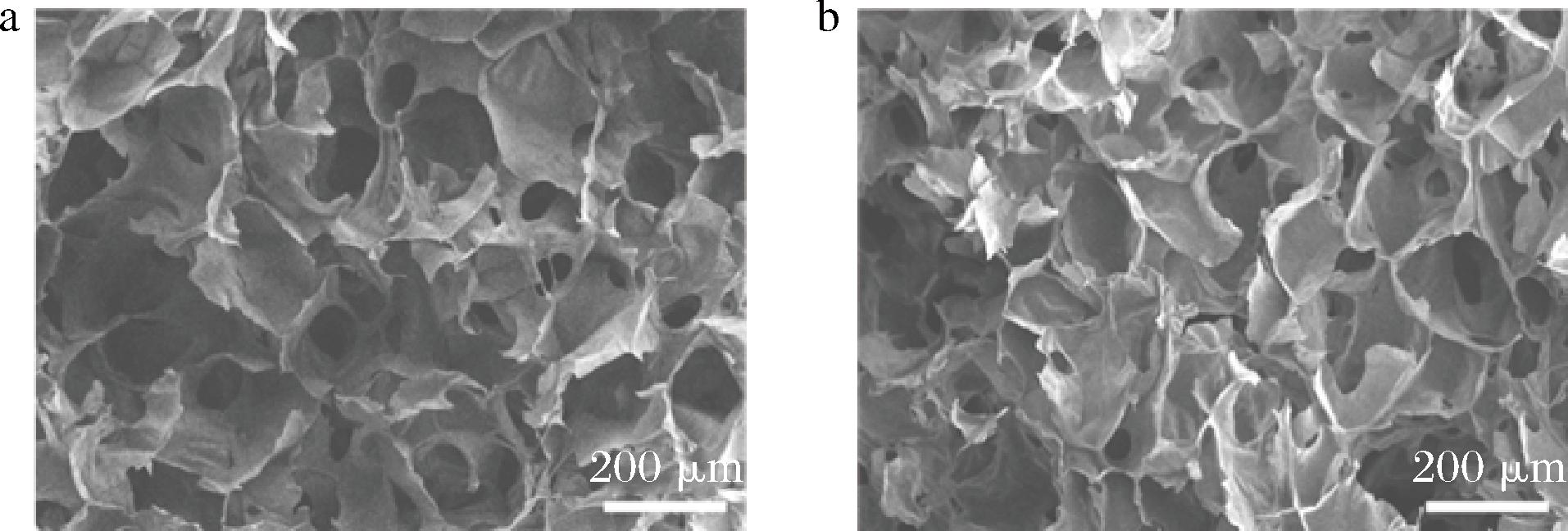 width=350,height=118,dpi=110