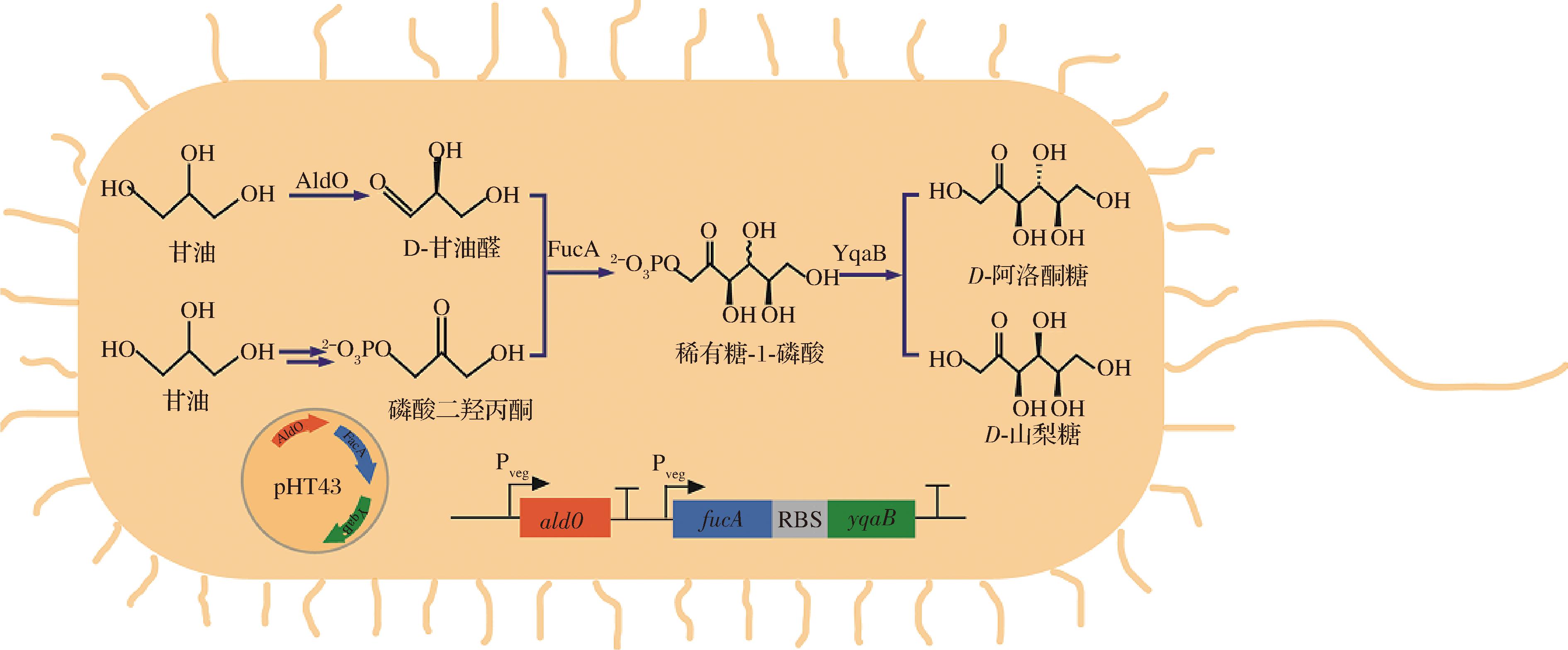 width=693,height=287,dpi=110