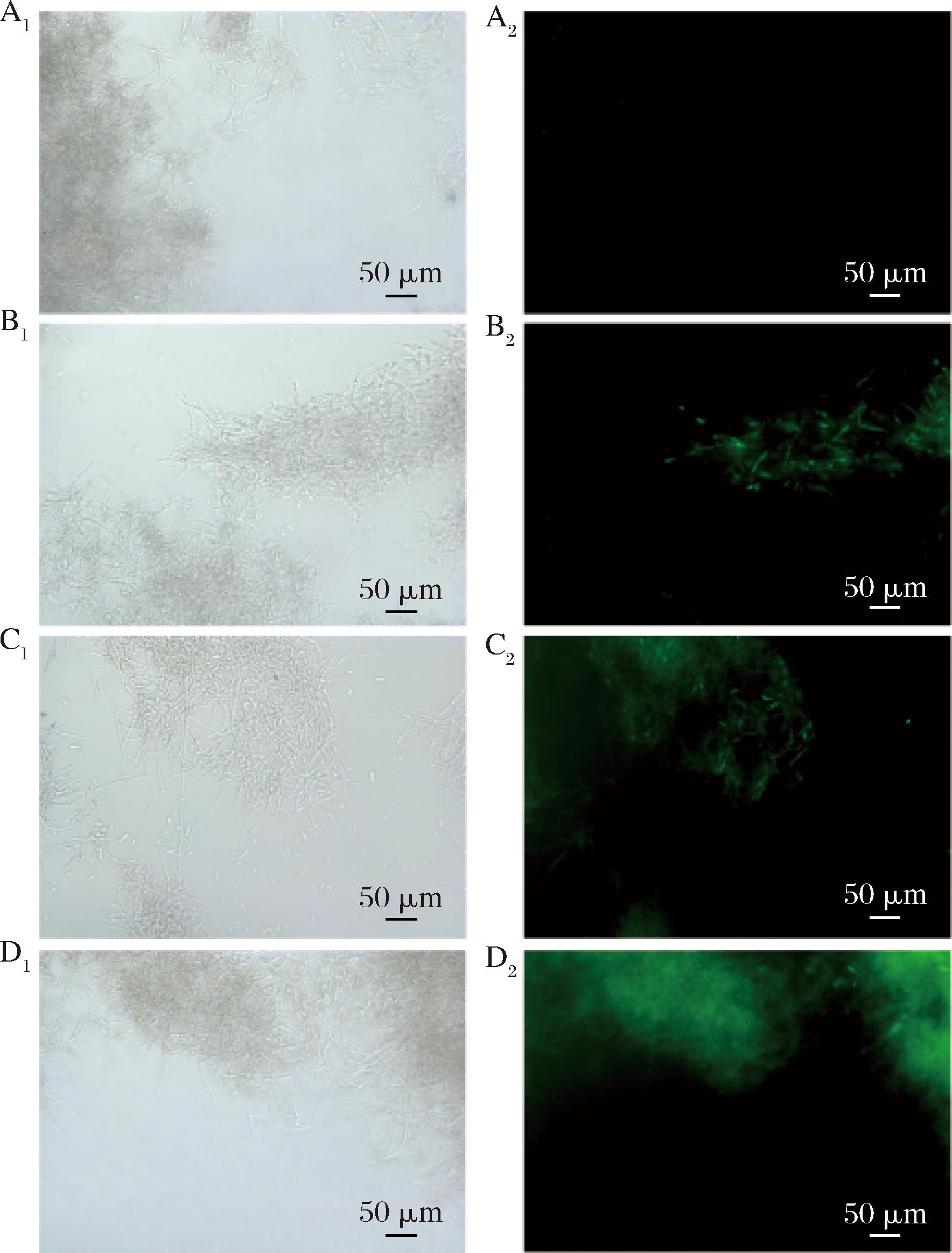 width=324,height=426,dpi=110