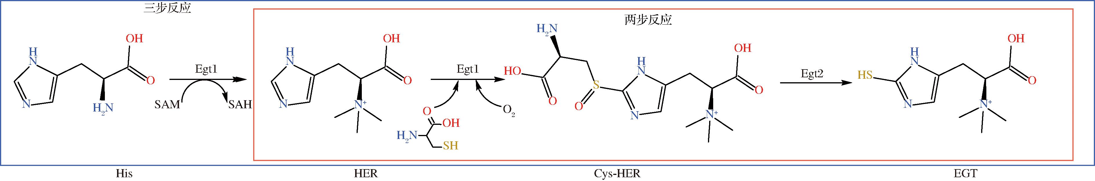 width=693,height=114,dpi=110