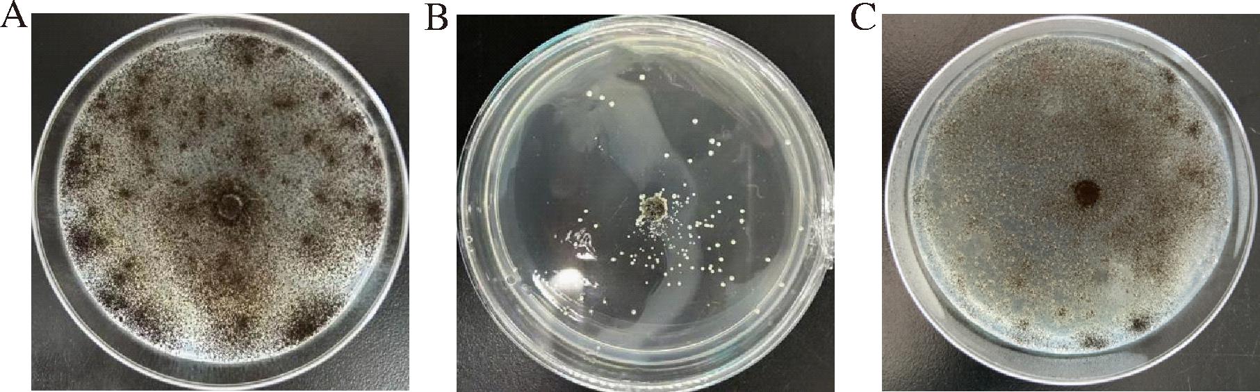 width=332,height=103,dpi=110