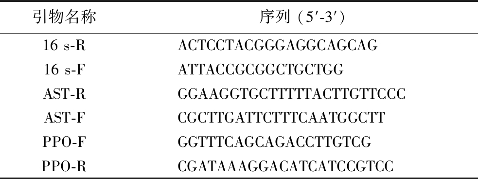 width=360,height=134,dpi=110