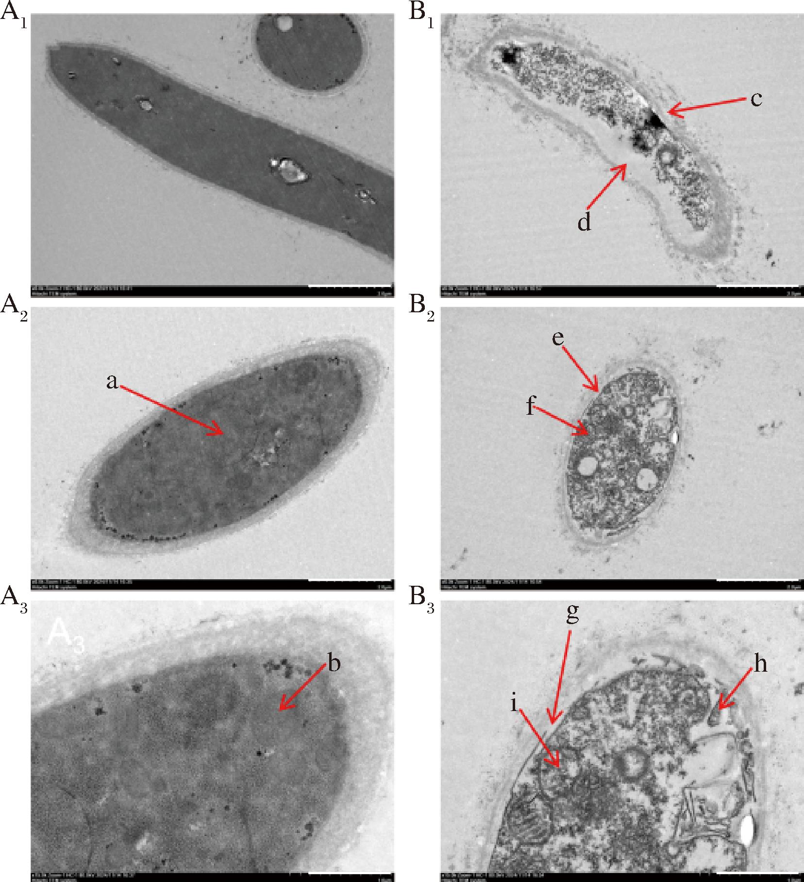 width=303,height=332,dpi=110