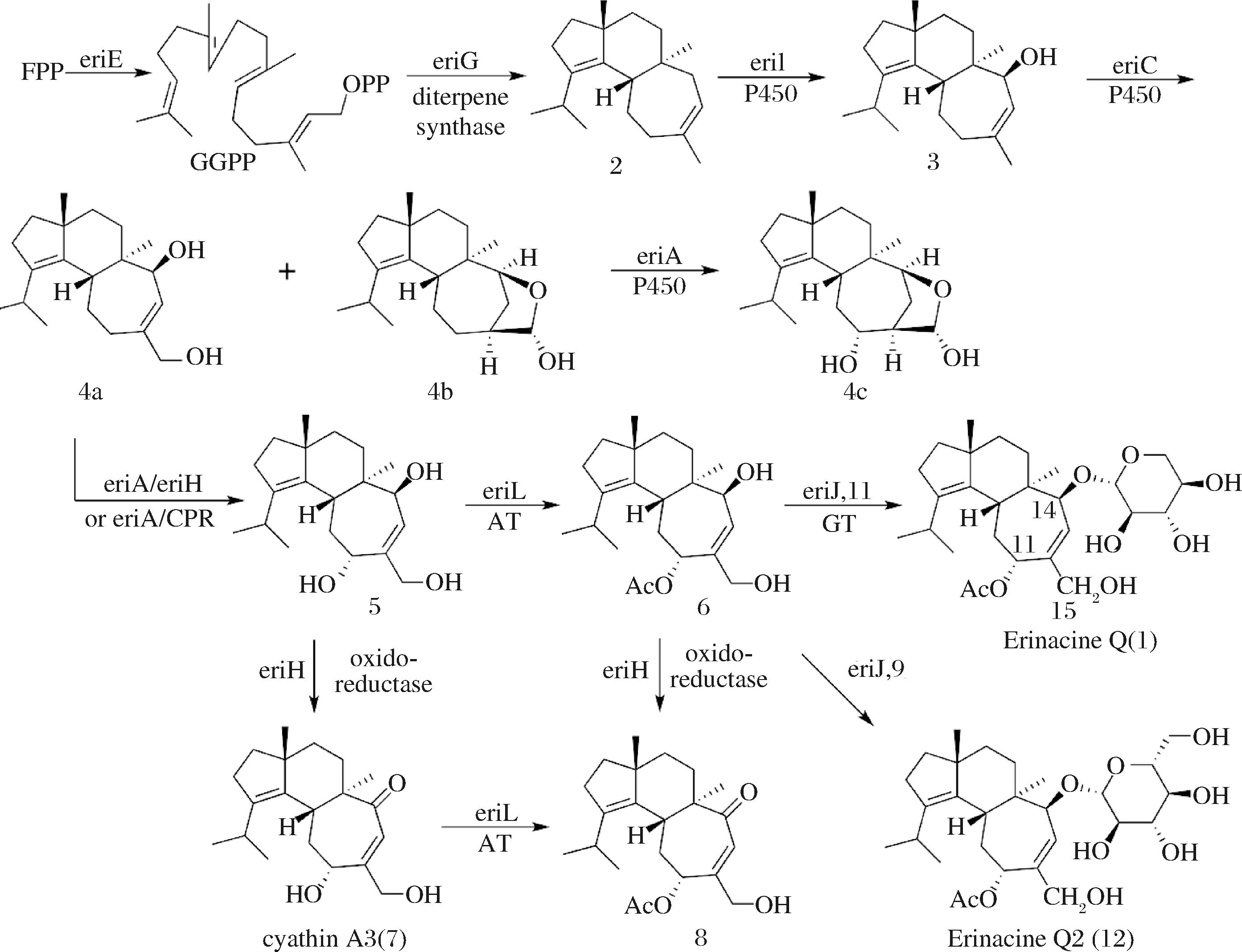 width=500,height=383,dpi=110