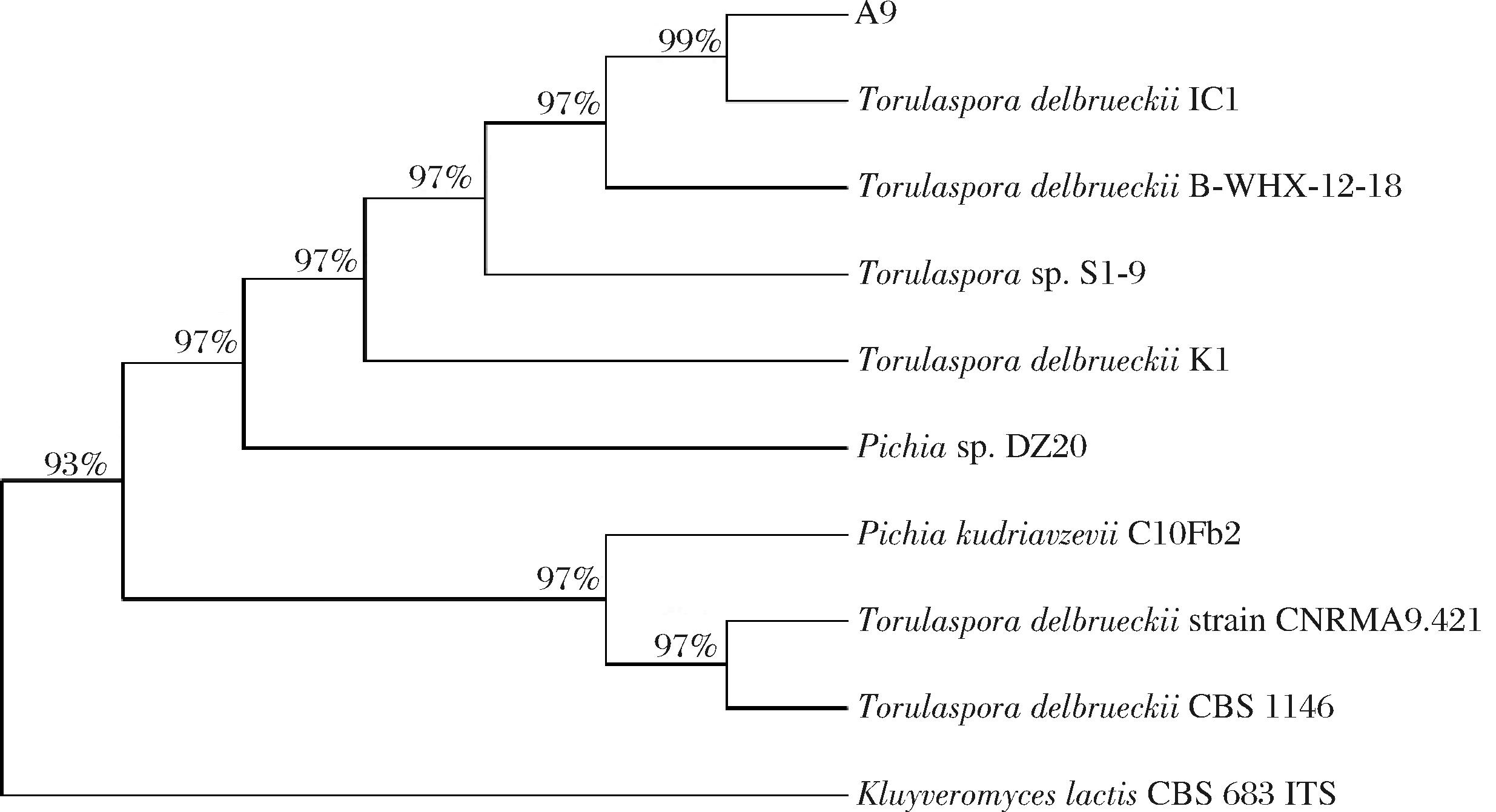 width=452,height=245,dpi=110
