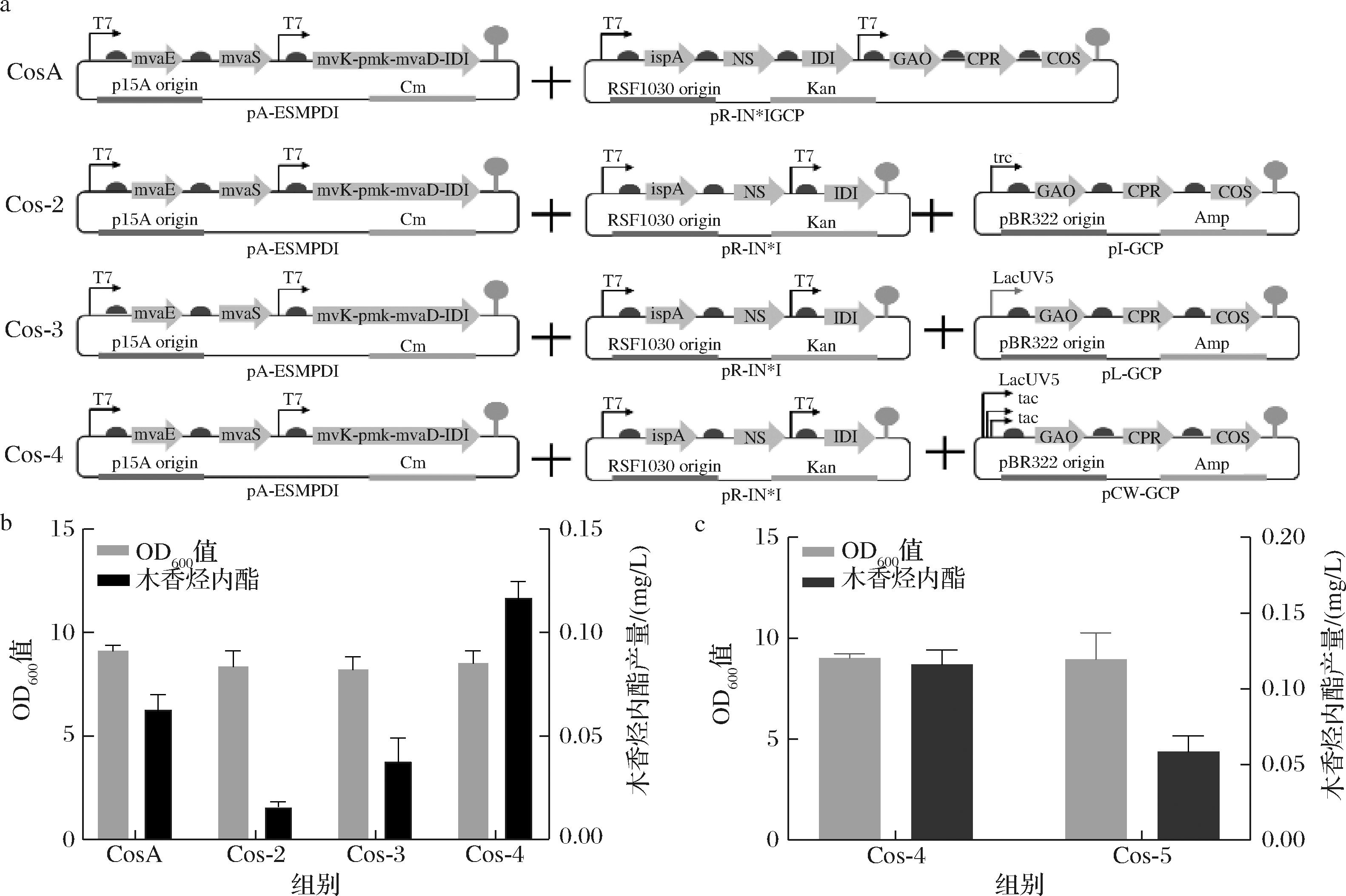 width=580,height=386,dpi=110