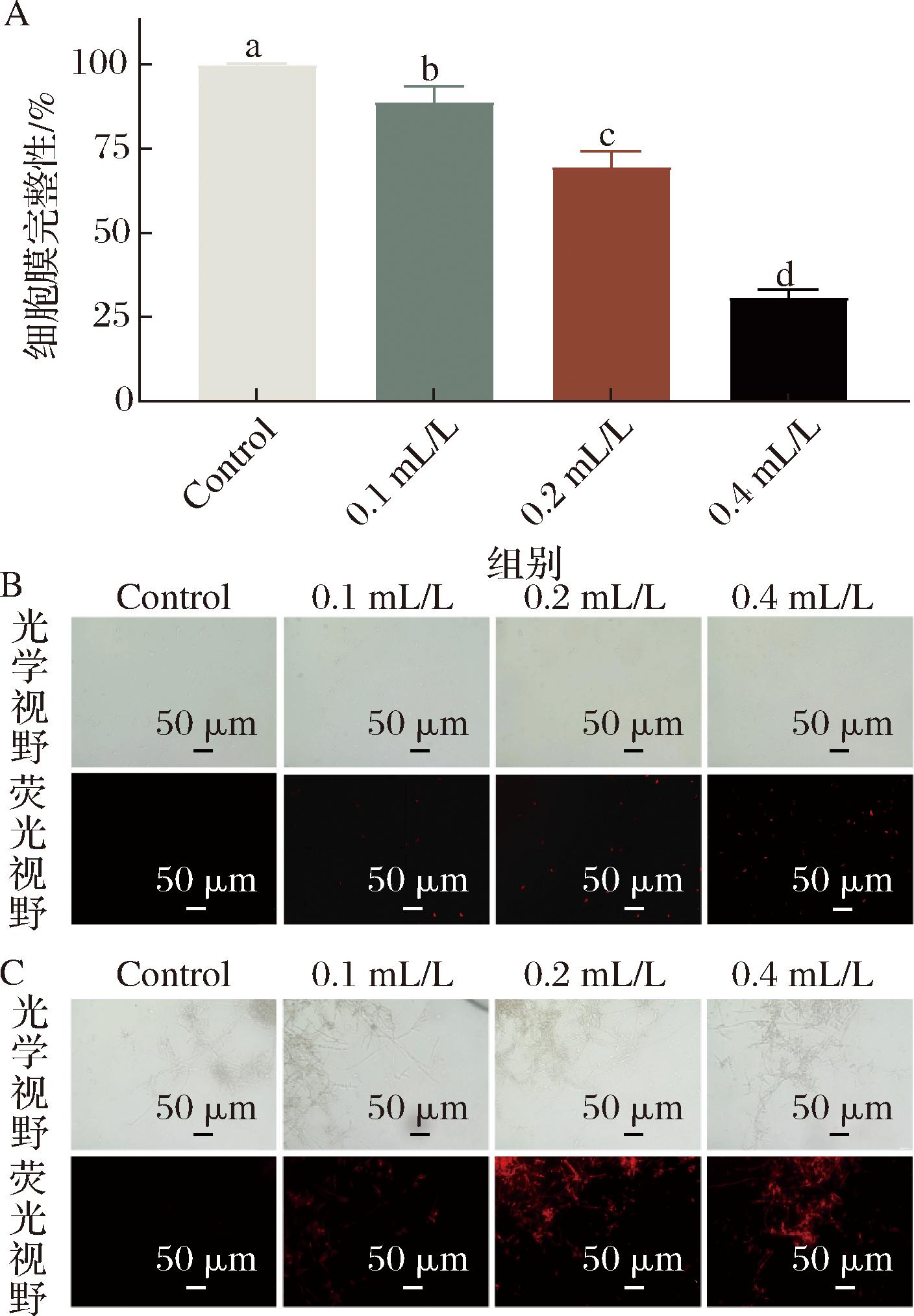 width=258,height=371,dpi=110